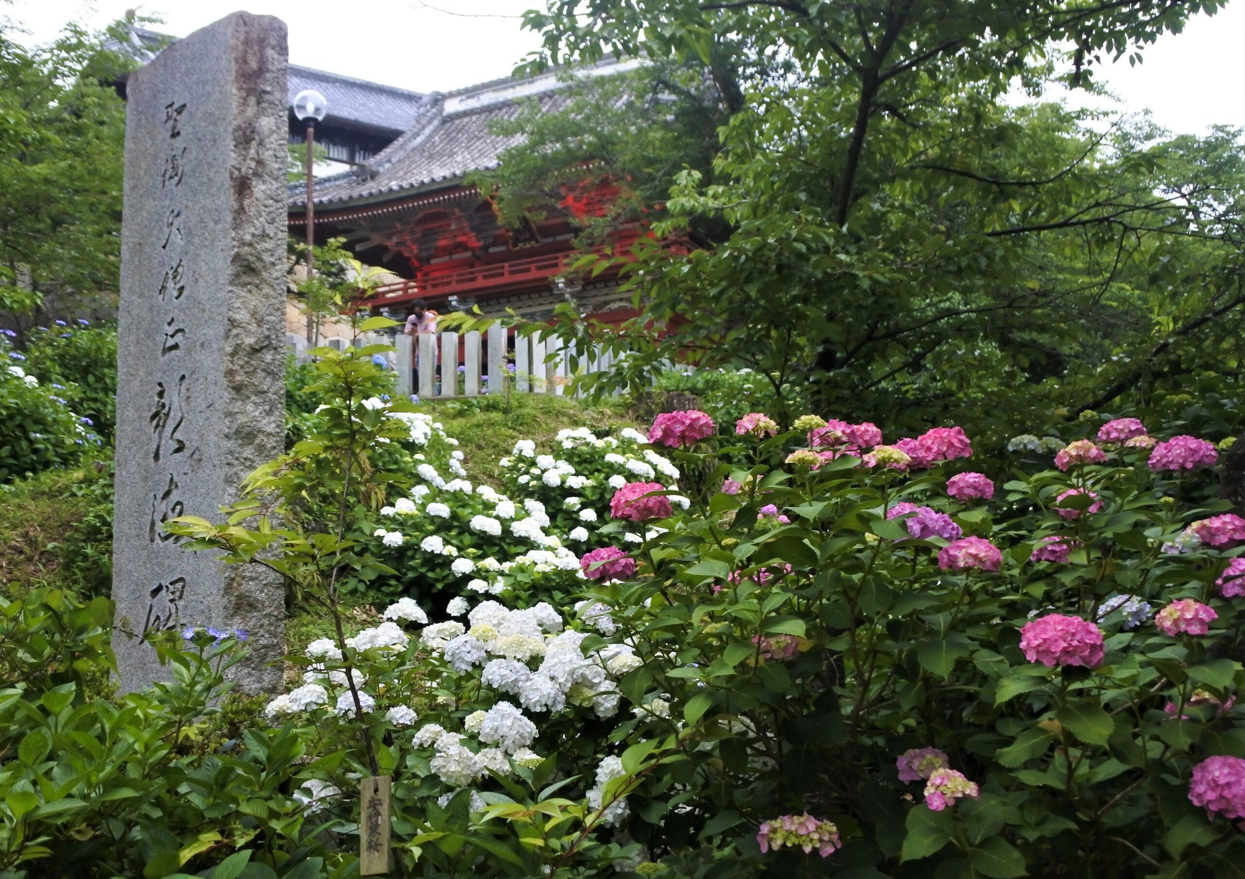 雨引観音「あじさい祭」