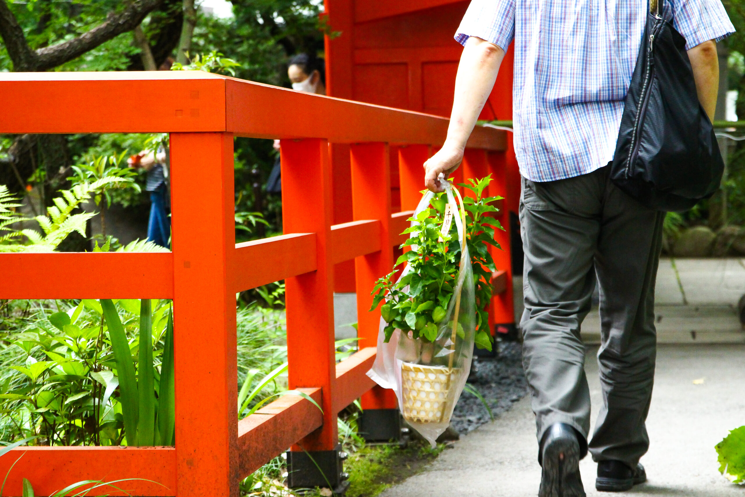 愛宕神社ほおづき縁日