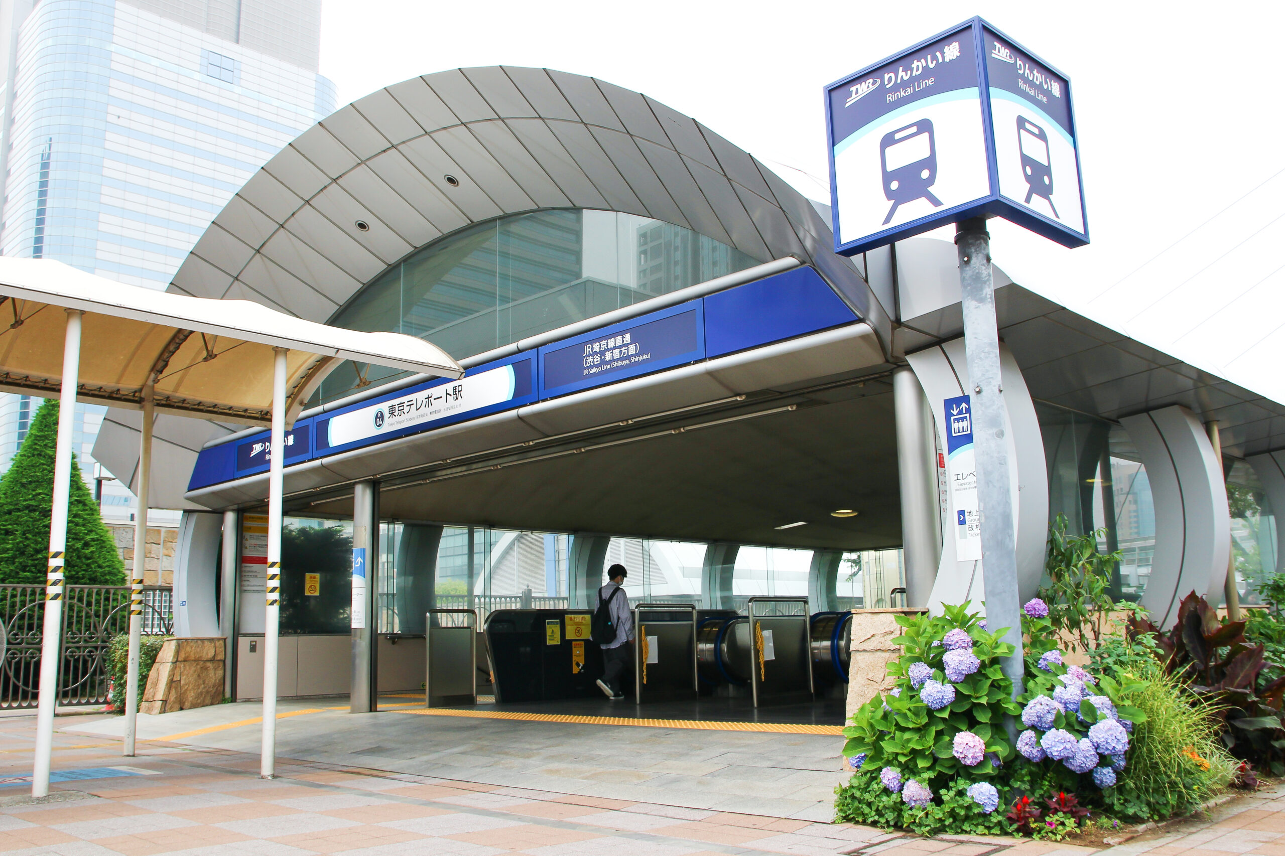 お台場あじさい