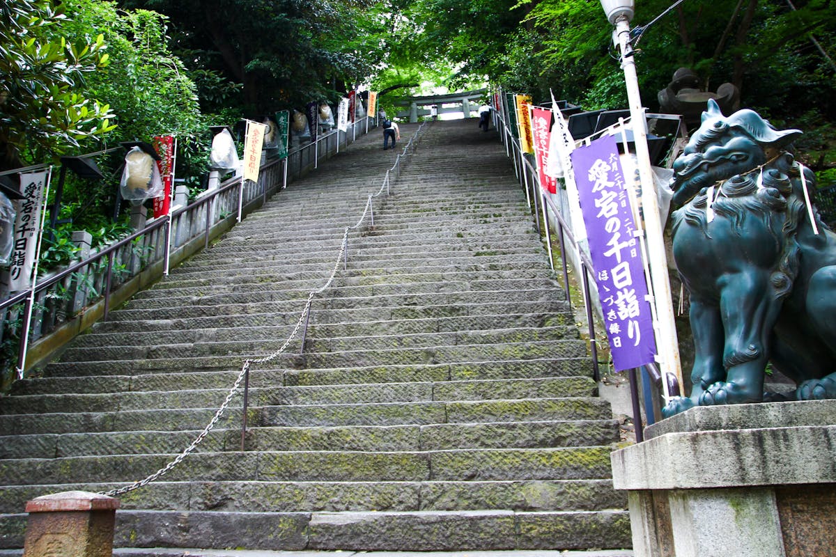 愛宕神社千日詣り ほおづき縁日が二日間開催 厄を祓う茅の輪もくぐれます オマツリジャパン あなたと祭りをつなげるメディア