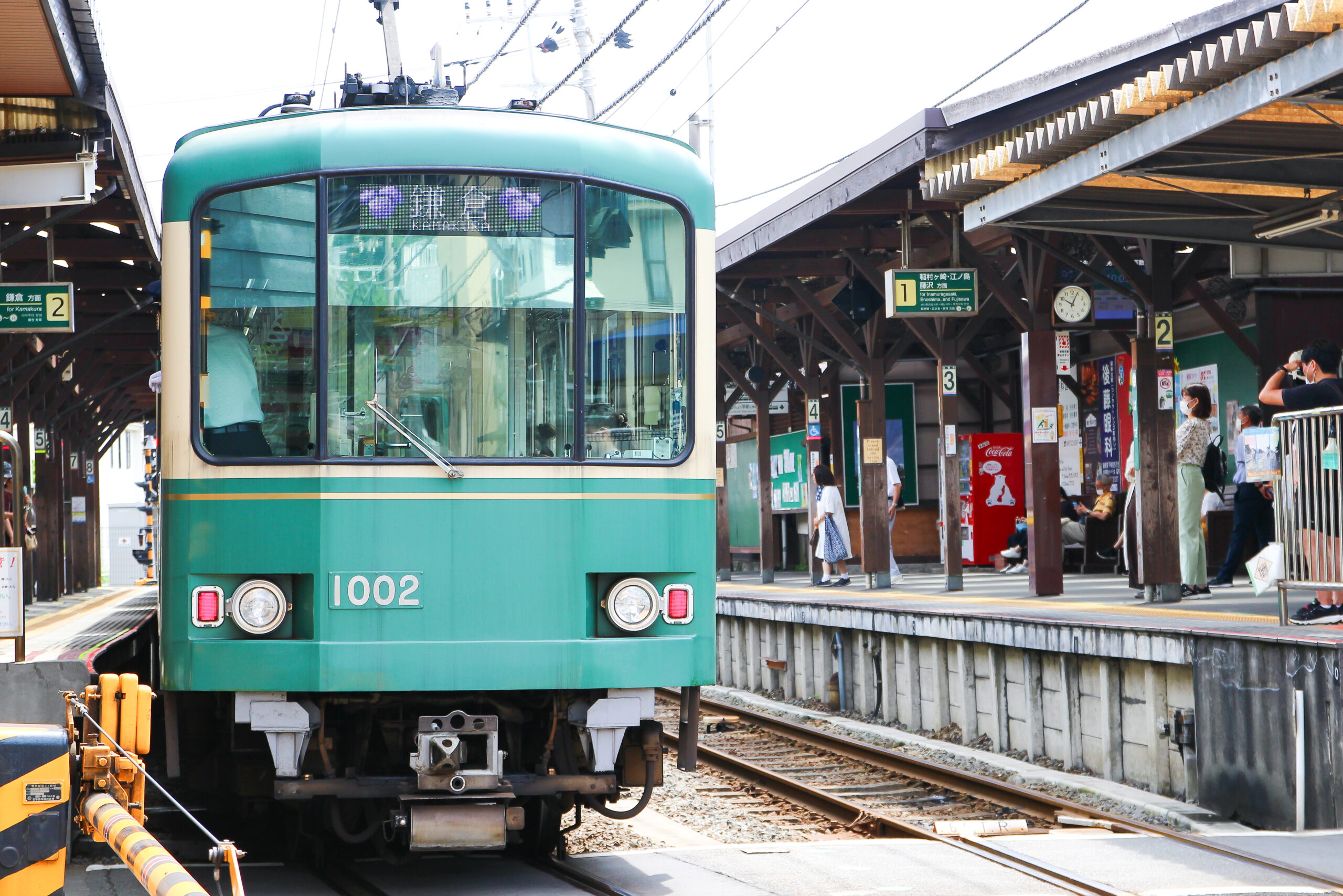 長谷寺あじさい