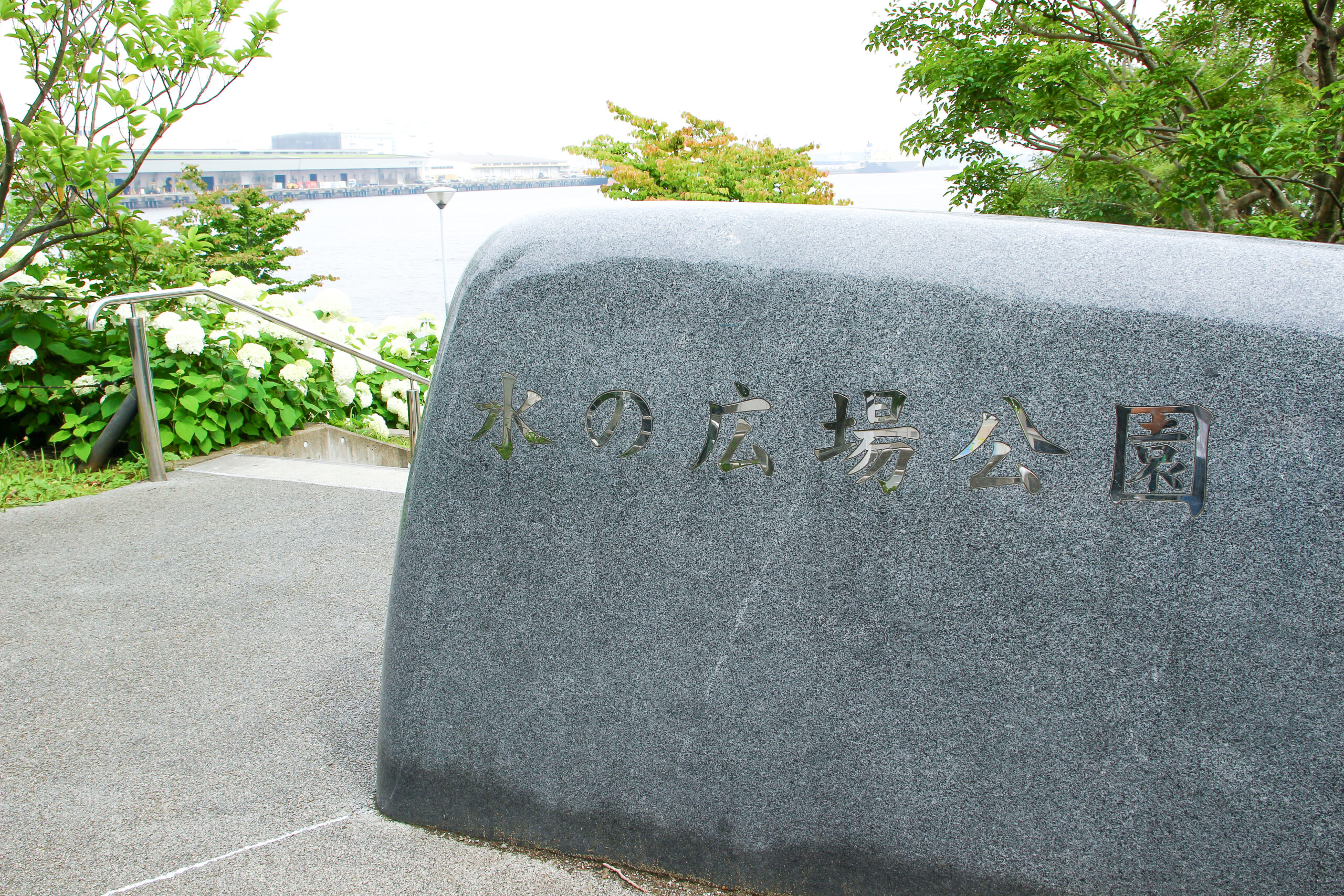 お台場あじさい