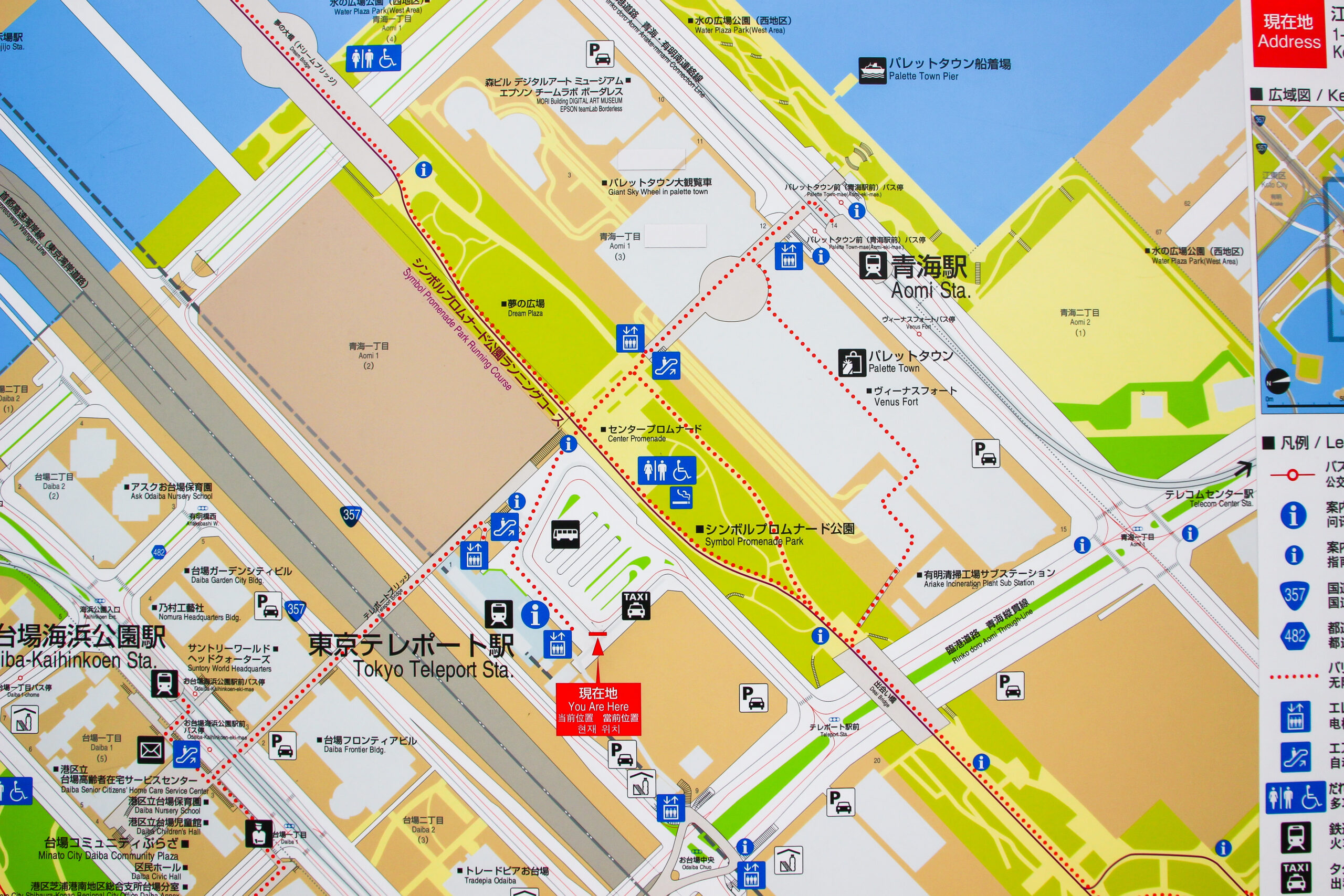 お台場あじさい