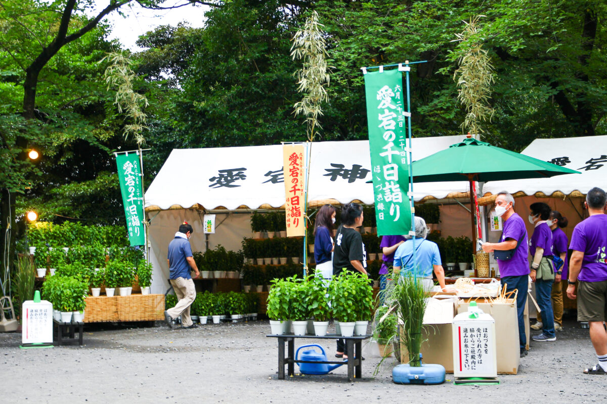 6月23日・24日は「出世の石段」を上ろう！東京港区・愛宕神社で「千日詣り・ほおづき縁日」が2023年も開催！