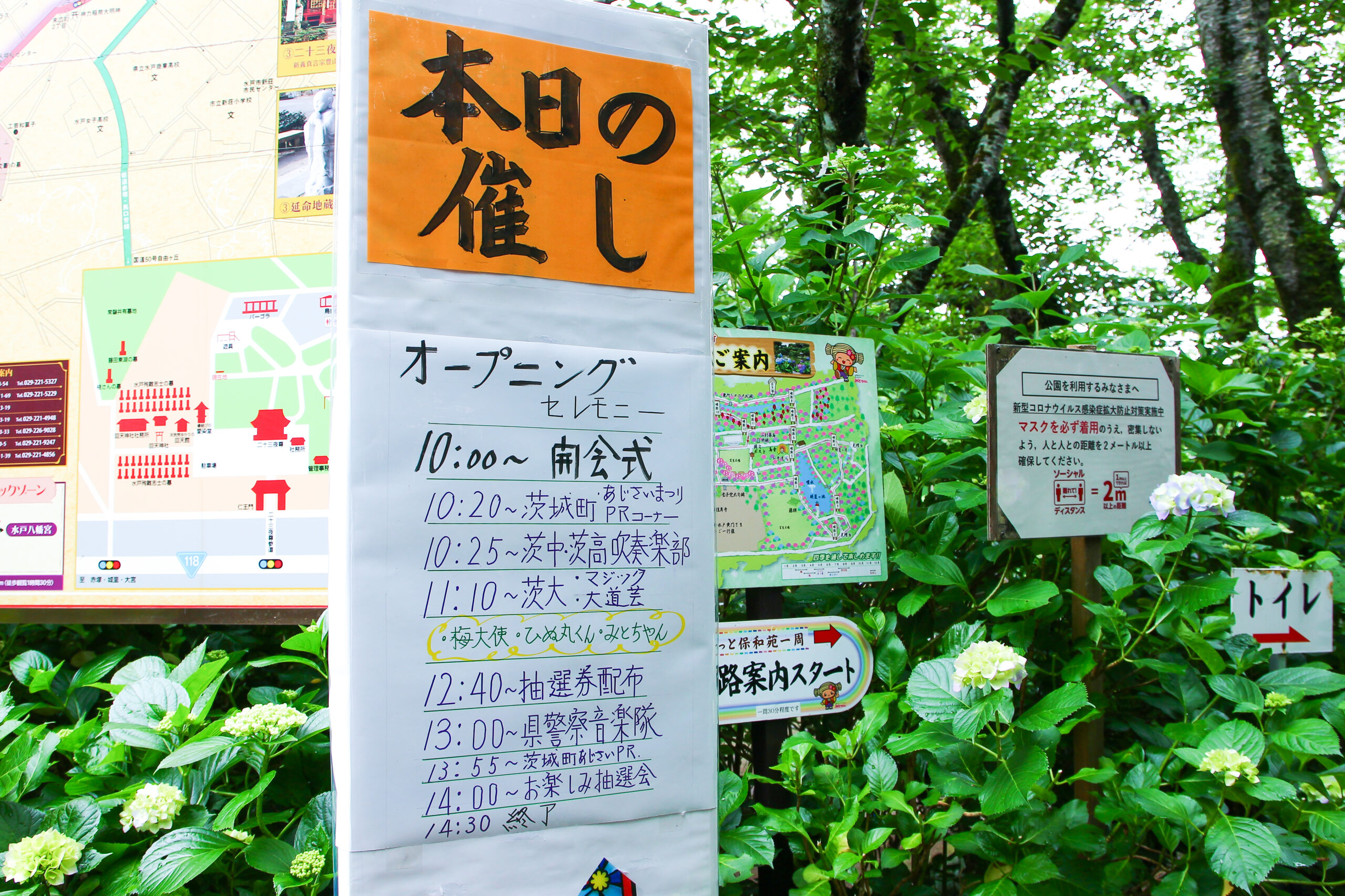 水戸のあじさいまつり