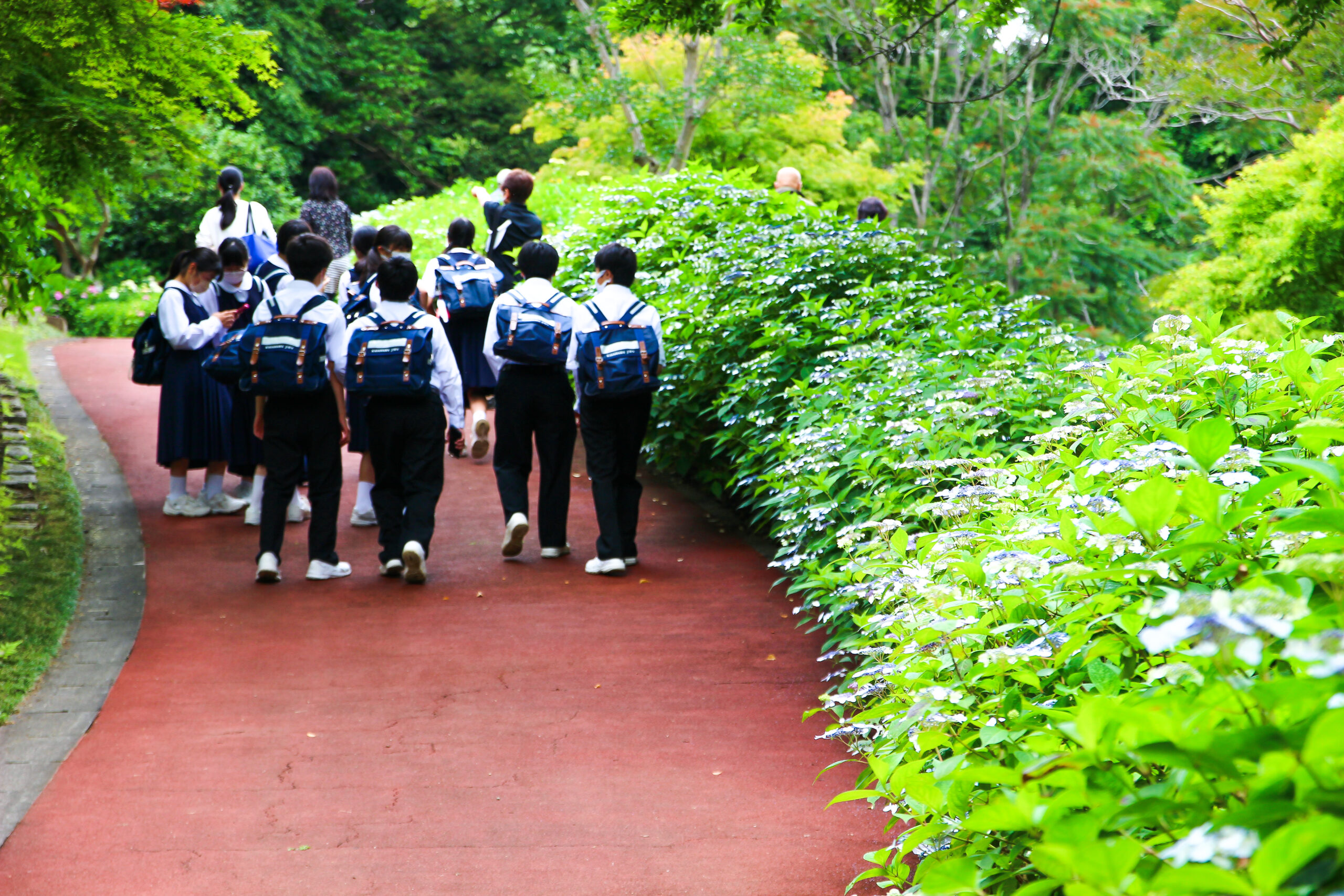 水戸のあじさいまつり