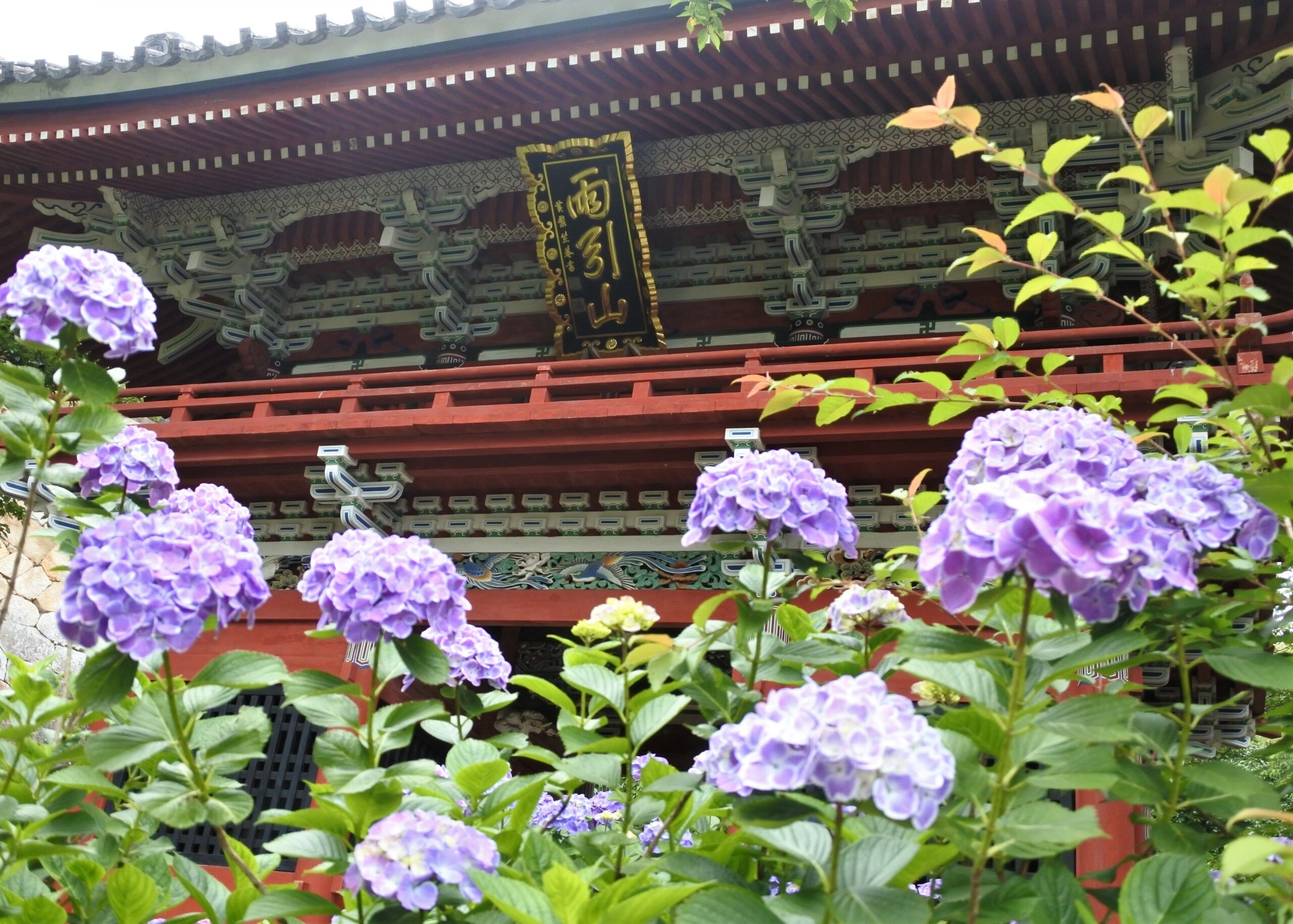 雨引観音「あじさい祭」