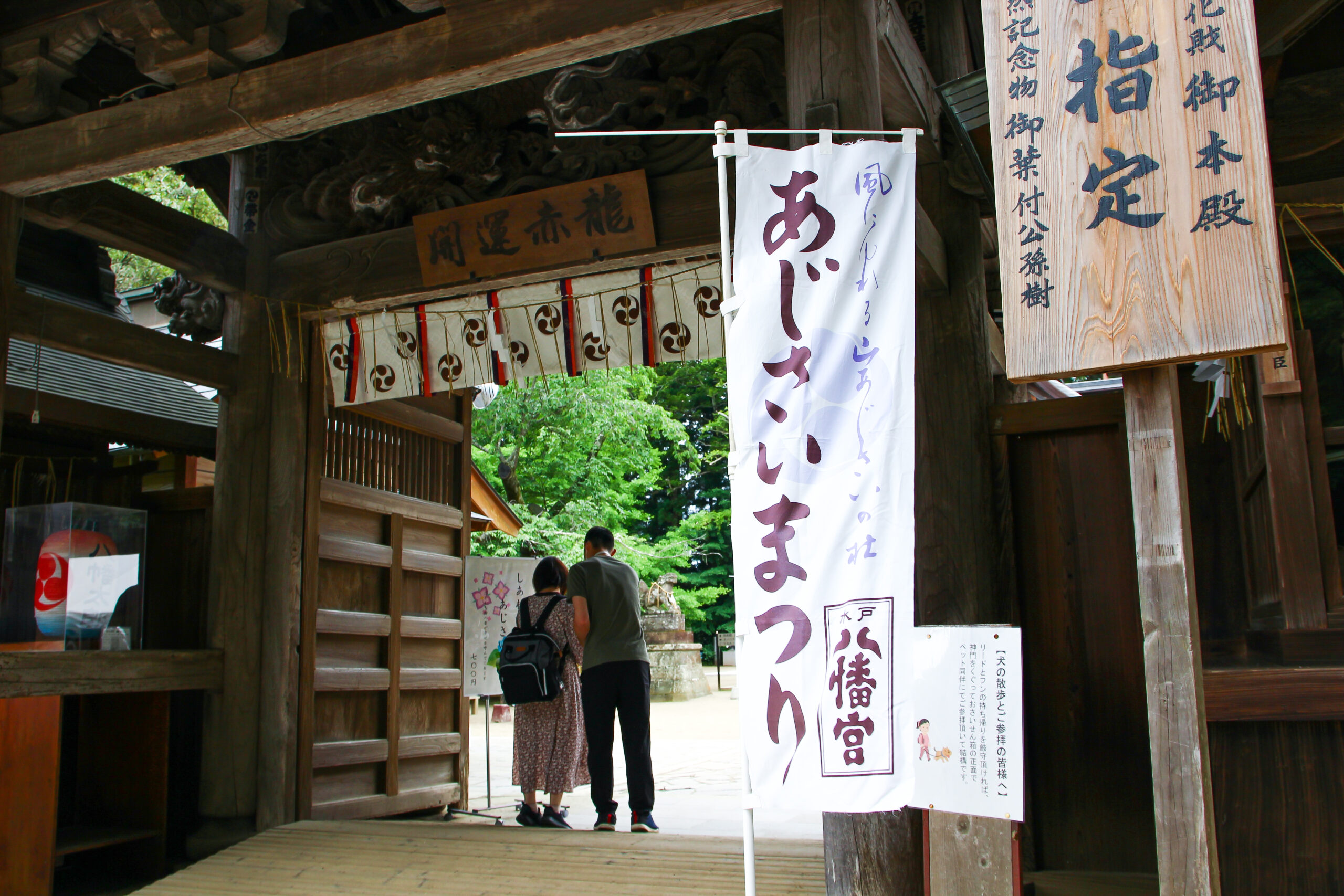 水戸のあじさいまつり