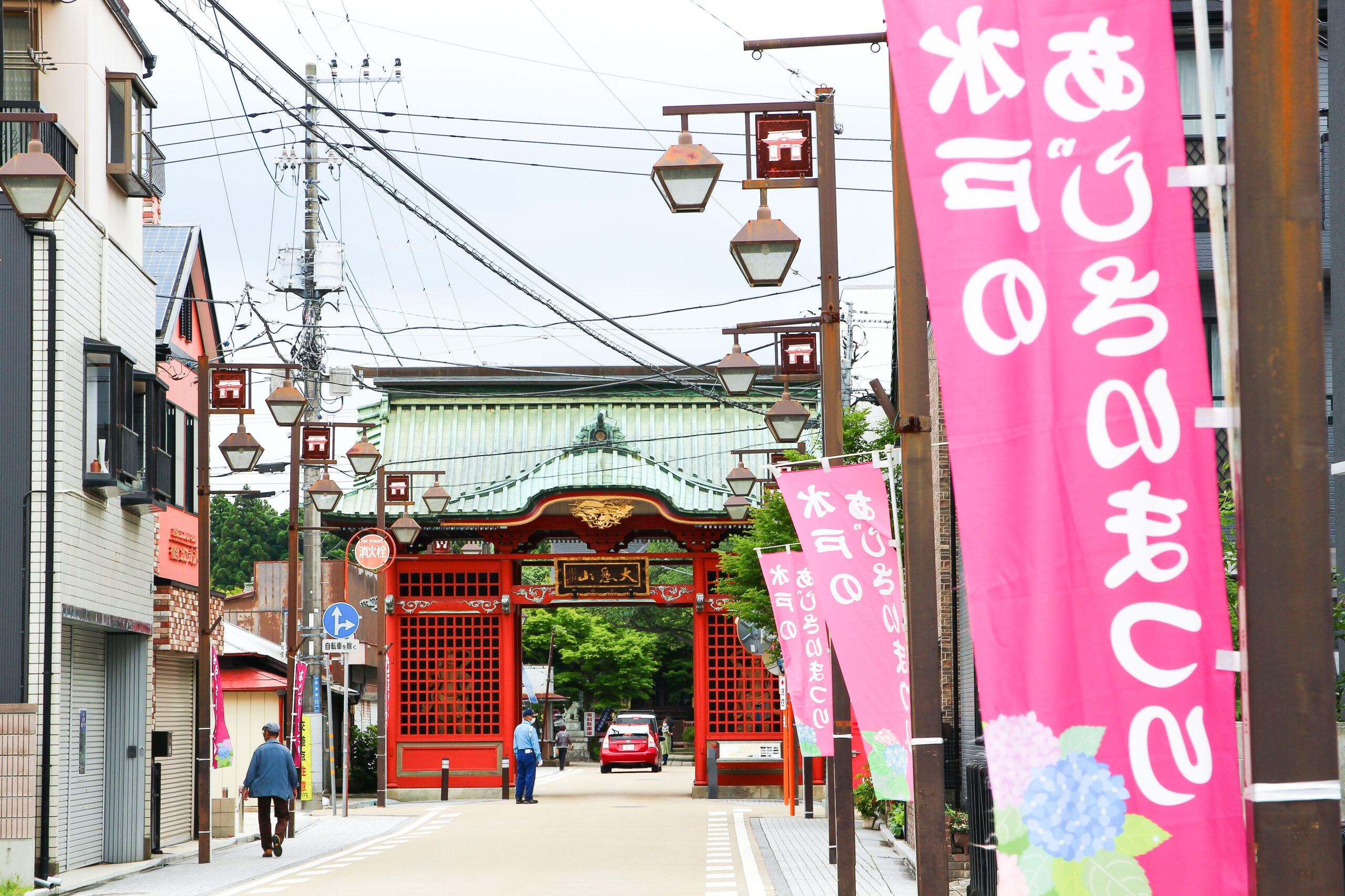 水戸のあじさいまつり