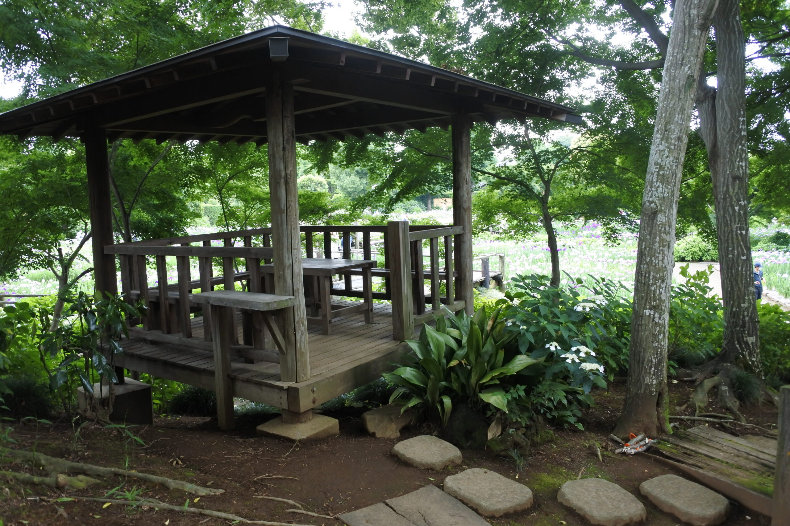 染谷花しょうぶ園