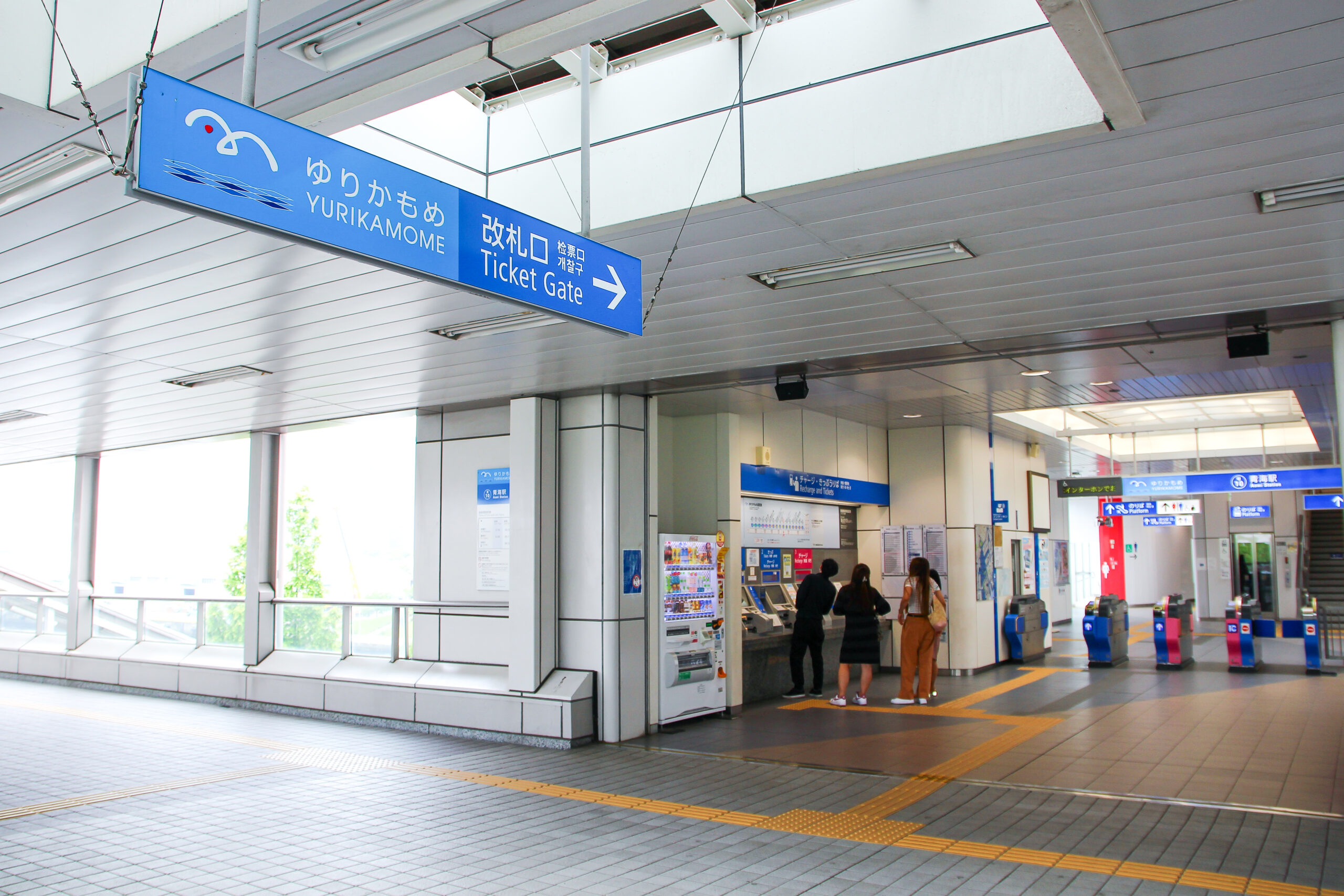 お台場あじさい