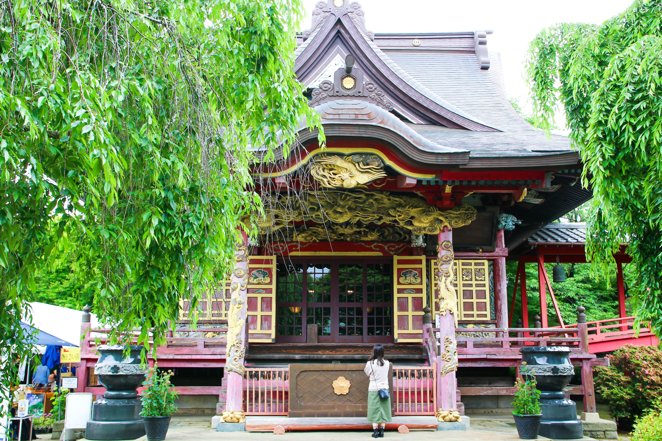 水戸のあじさいまつり