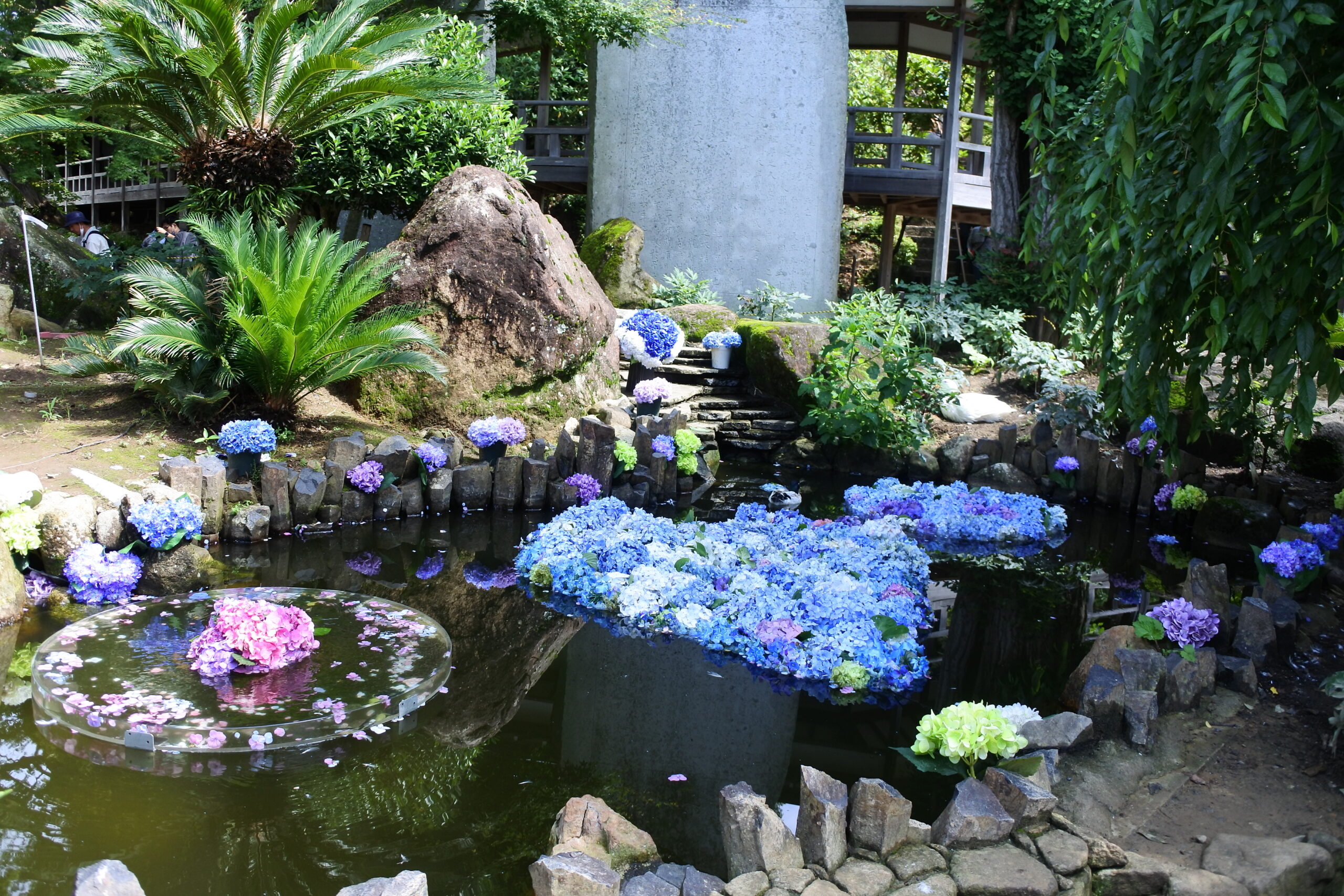 雨引観音「あじさい祭」