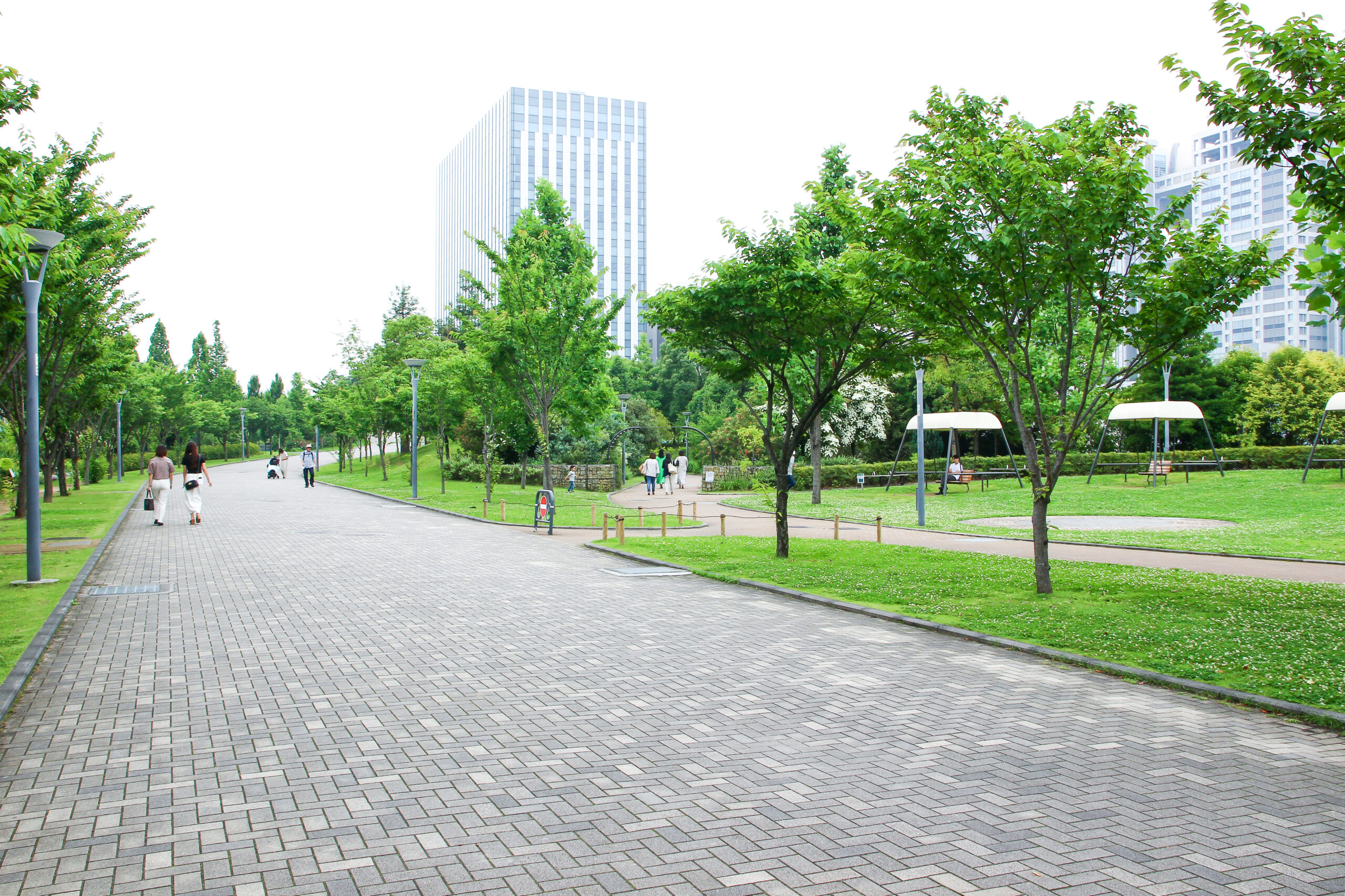 お台場あじさい