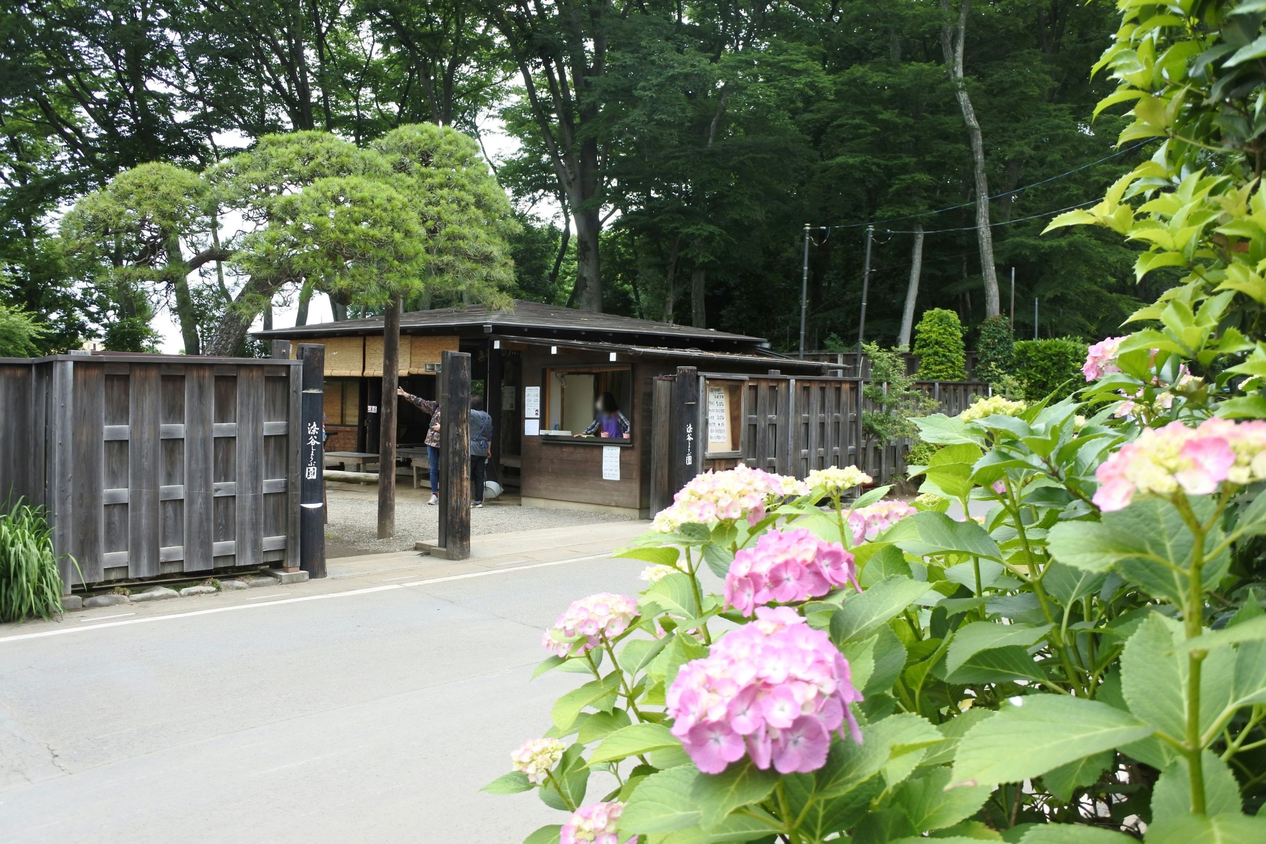 染谷花しょうぶ園
