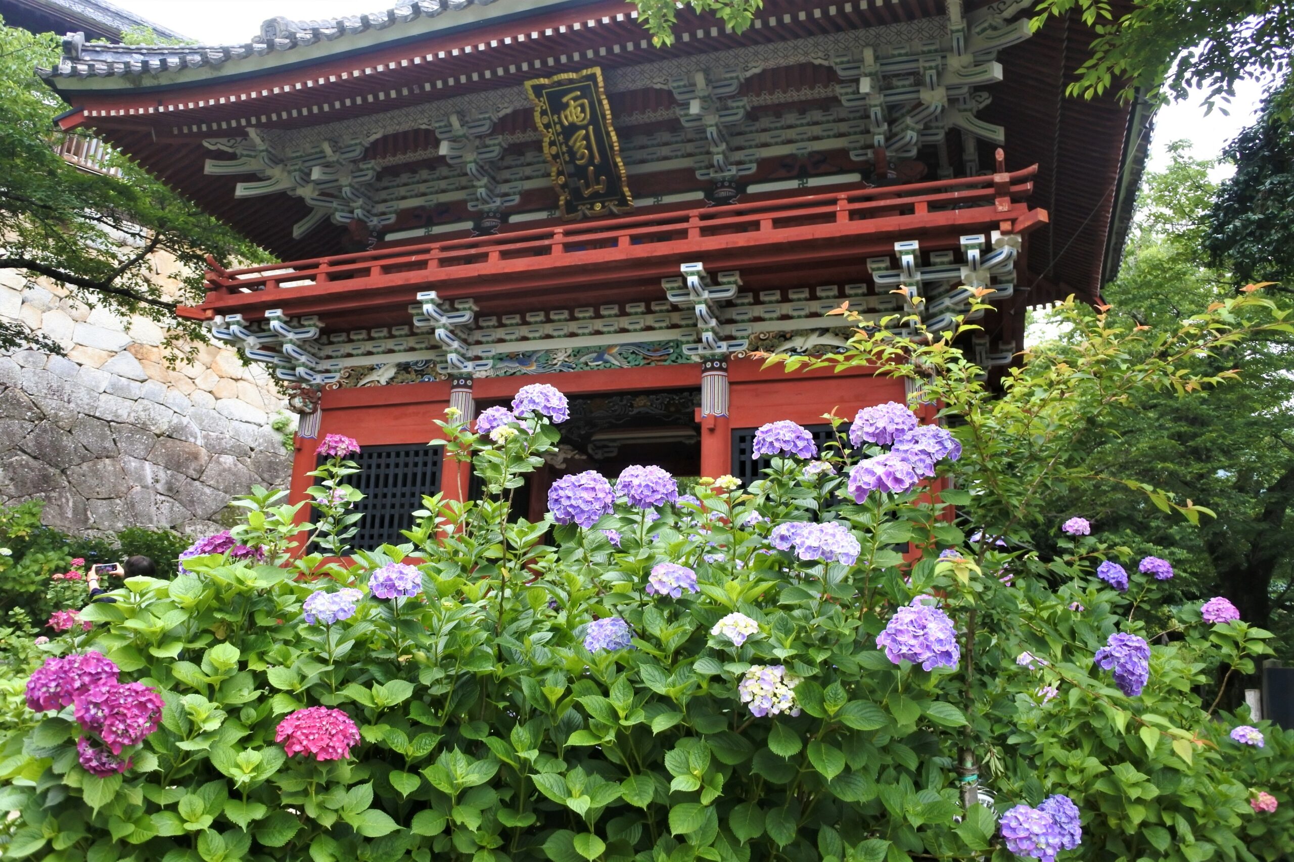 雨引観音「あじさい祭」