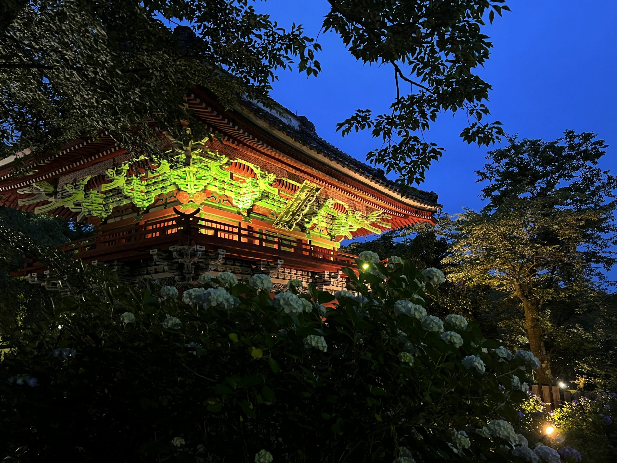 雨引観音「あじさい祭」