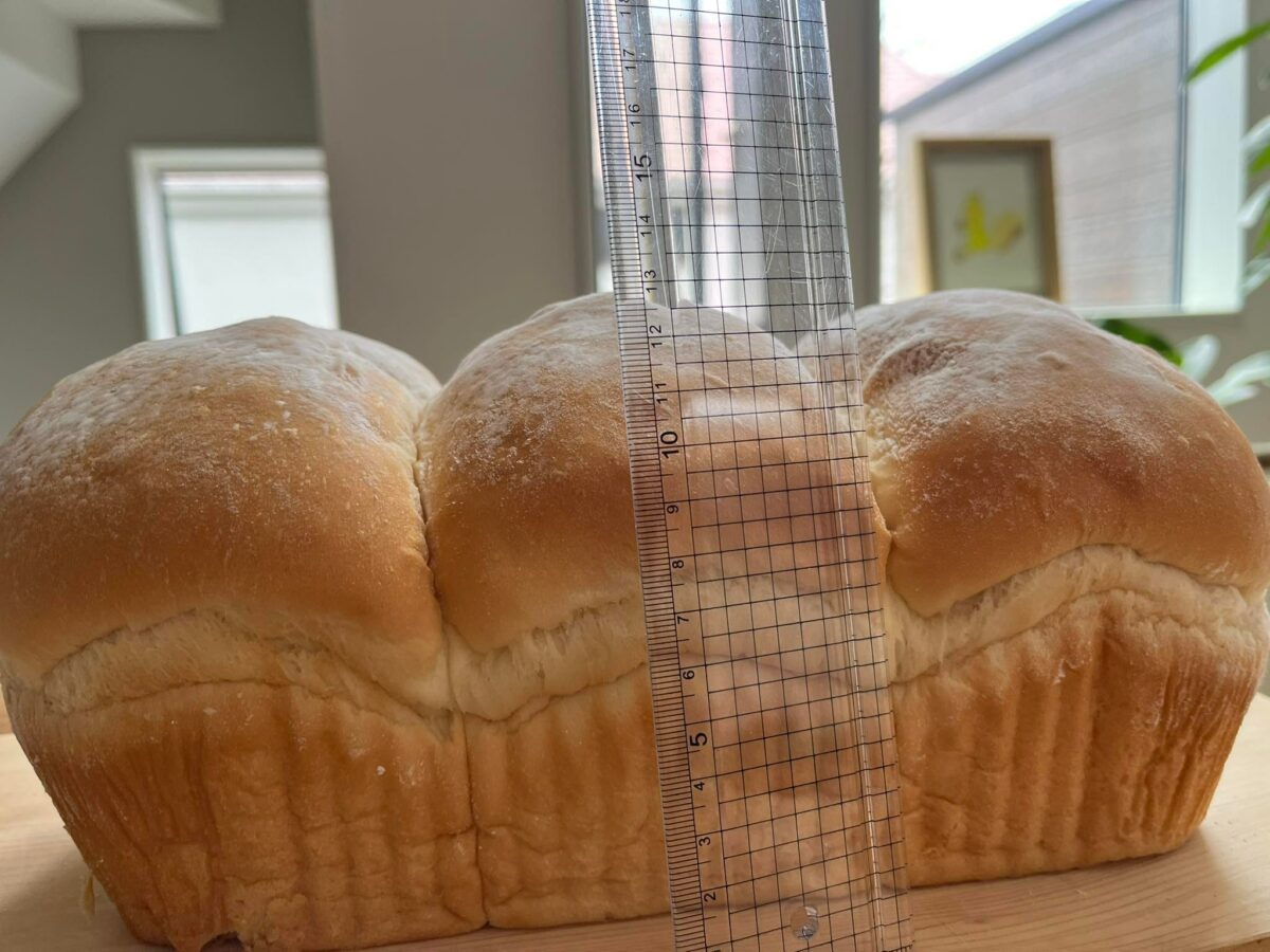 国産ミルクブレッド