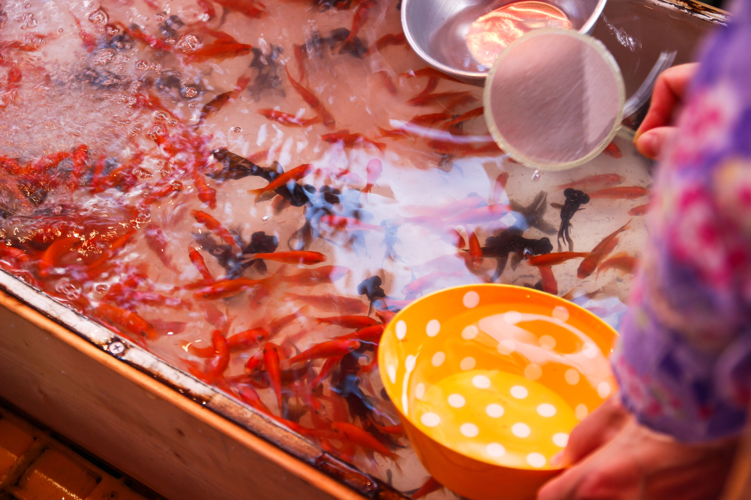 小川町七夕まつり