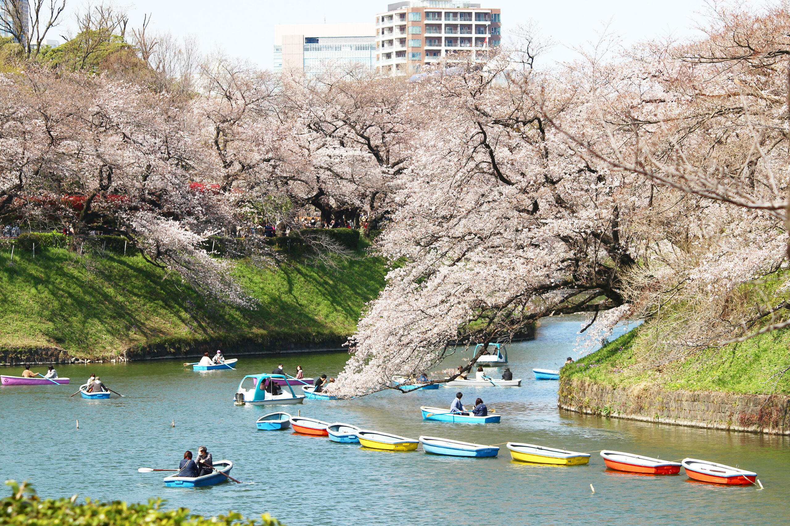 千鳥ヶ淵灯ろう流し