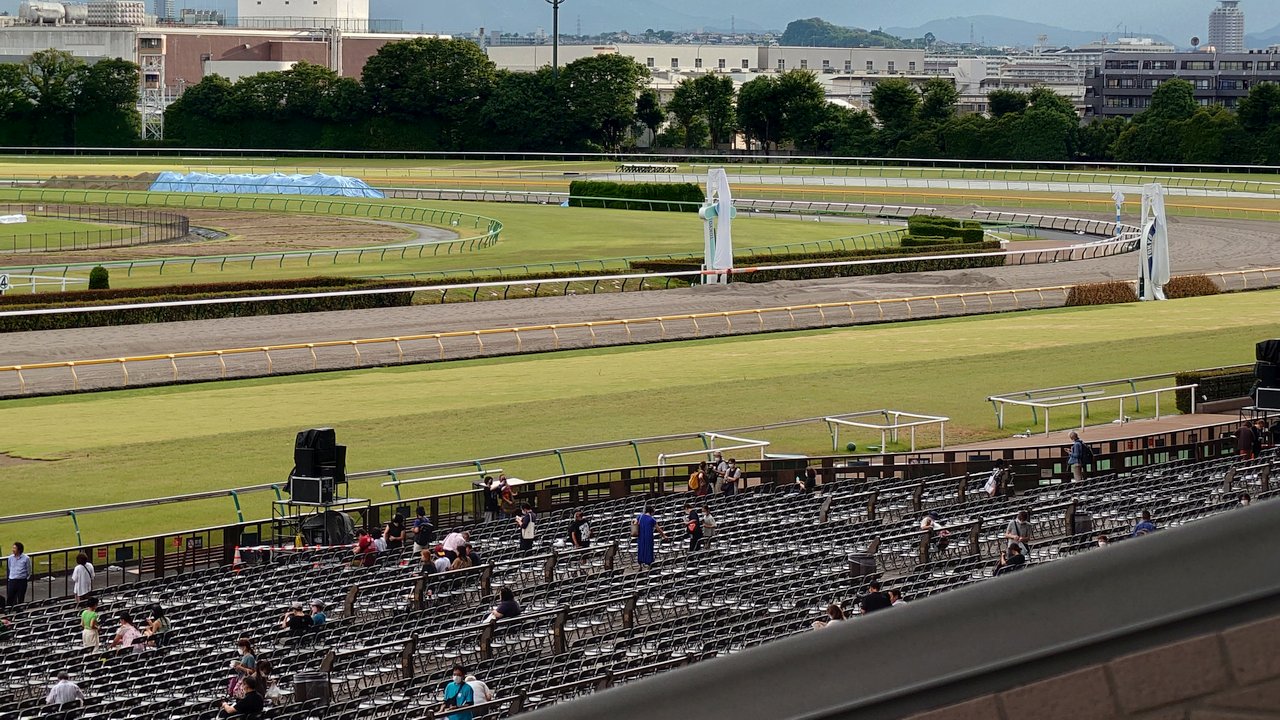 スタンドから馬場を望む