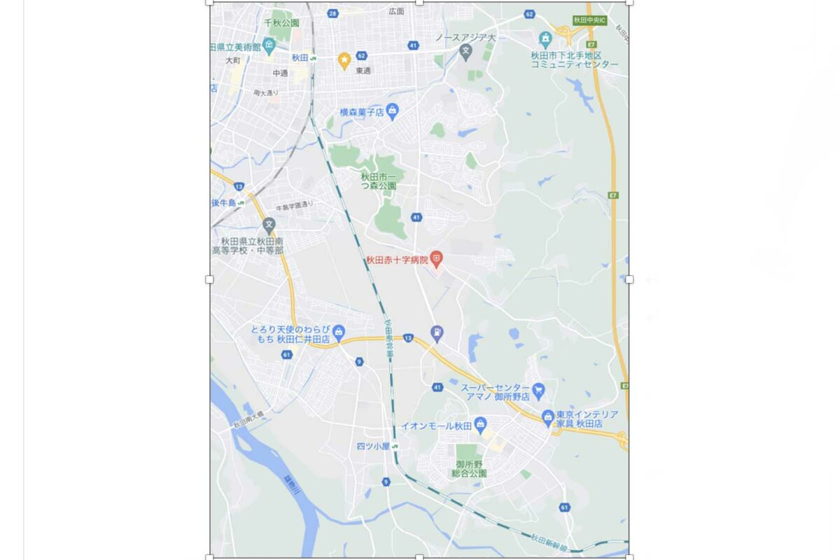 ババヘラ 県道沿い①