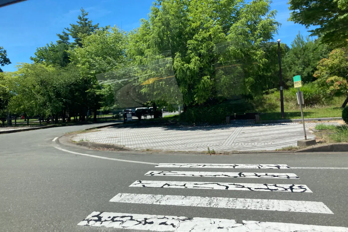 ピノキオランド ②