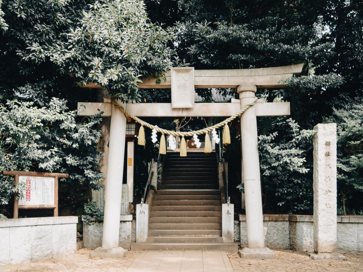 自由研究にも最適！千束八幡神社とは？歴史と自然あふれる洗足池と花