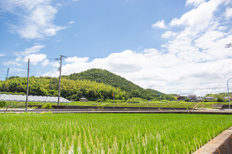 町内2kmに渡って神輿と共侍たちが練り歩く「渡御」が行われる農道。のどかな田園風景が広がります。