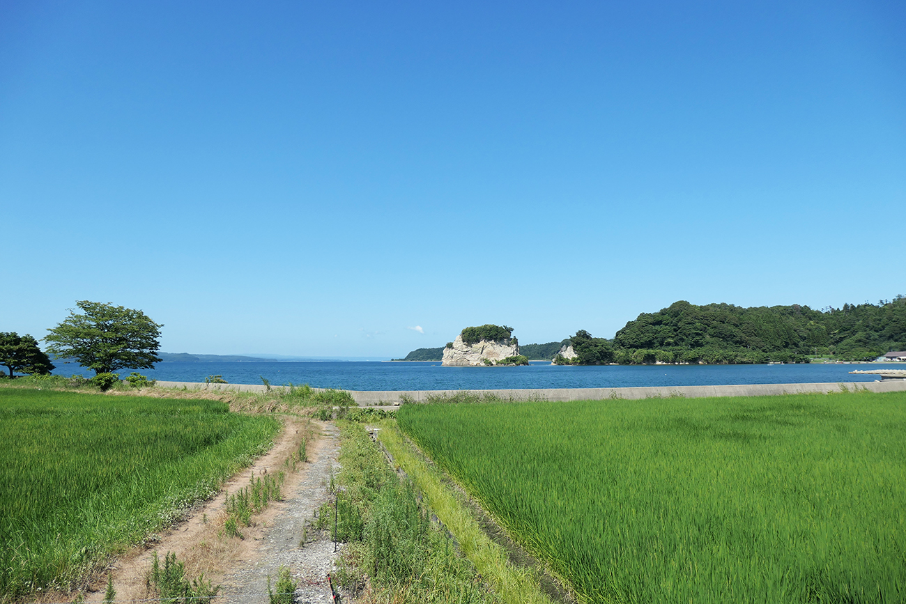 能登島向田火祭風景