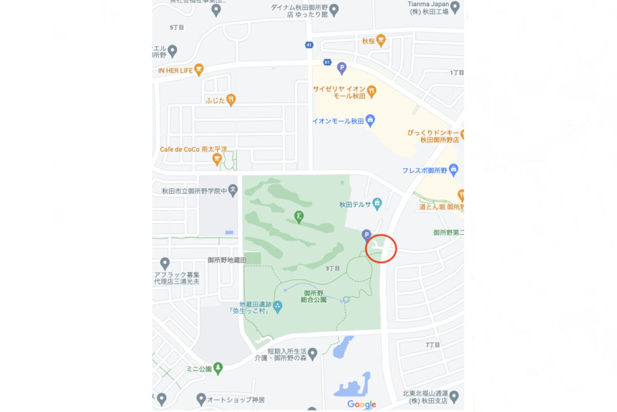 ピノキオランド