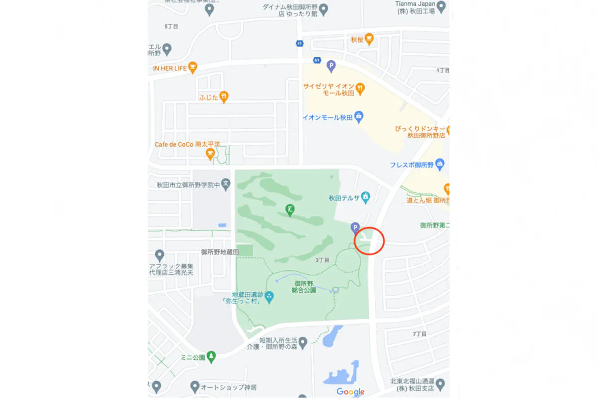 ピノキオランド