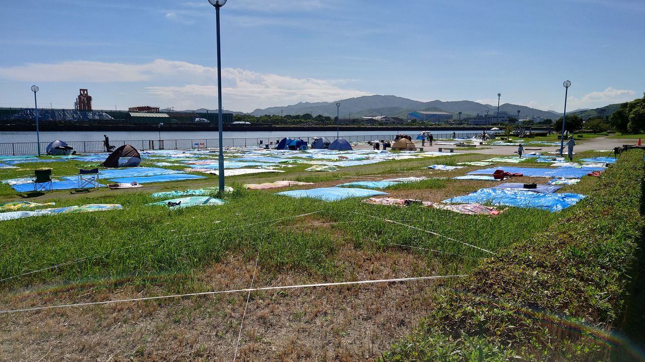 自由観覧エリア