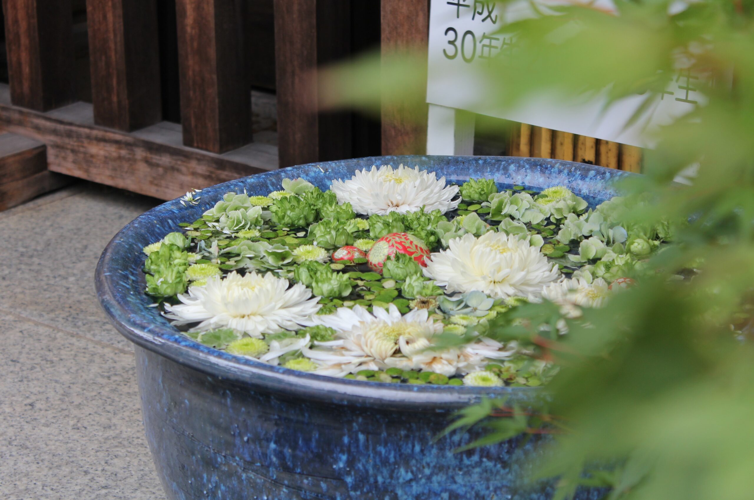 行田八幡神社、花手水