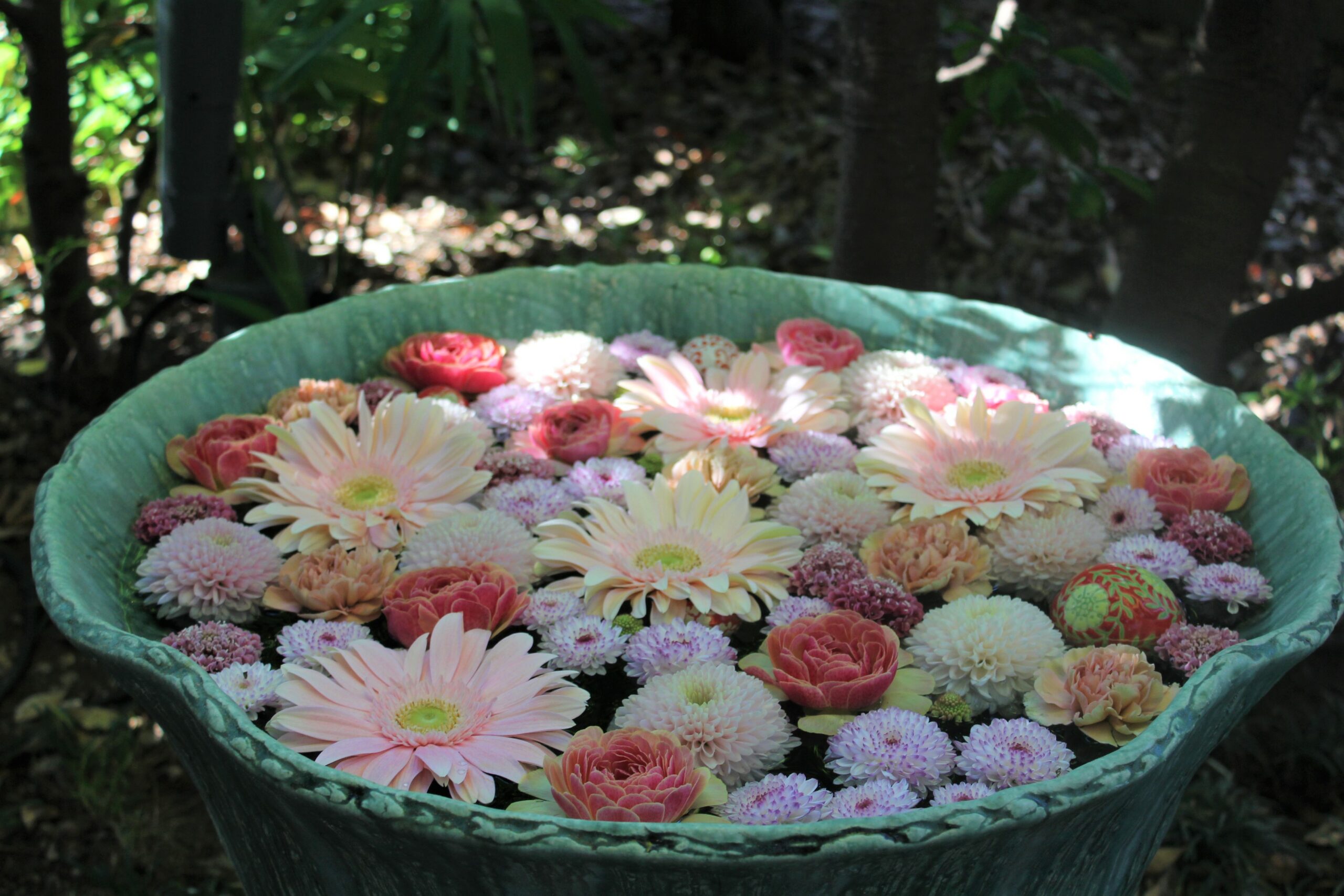 行田八幡神社、花手水