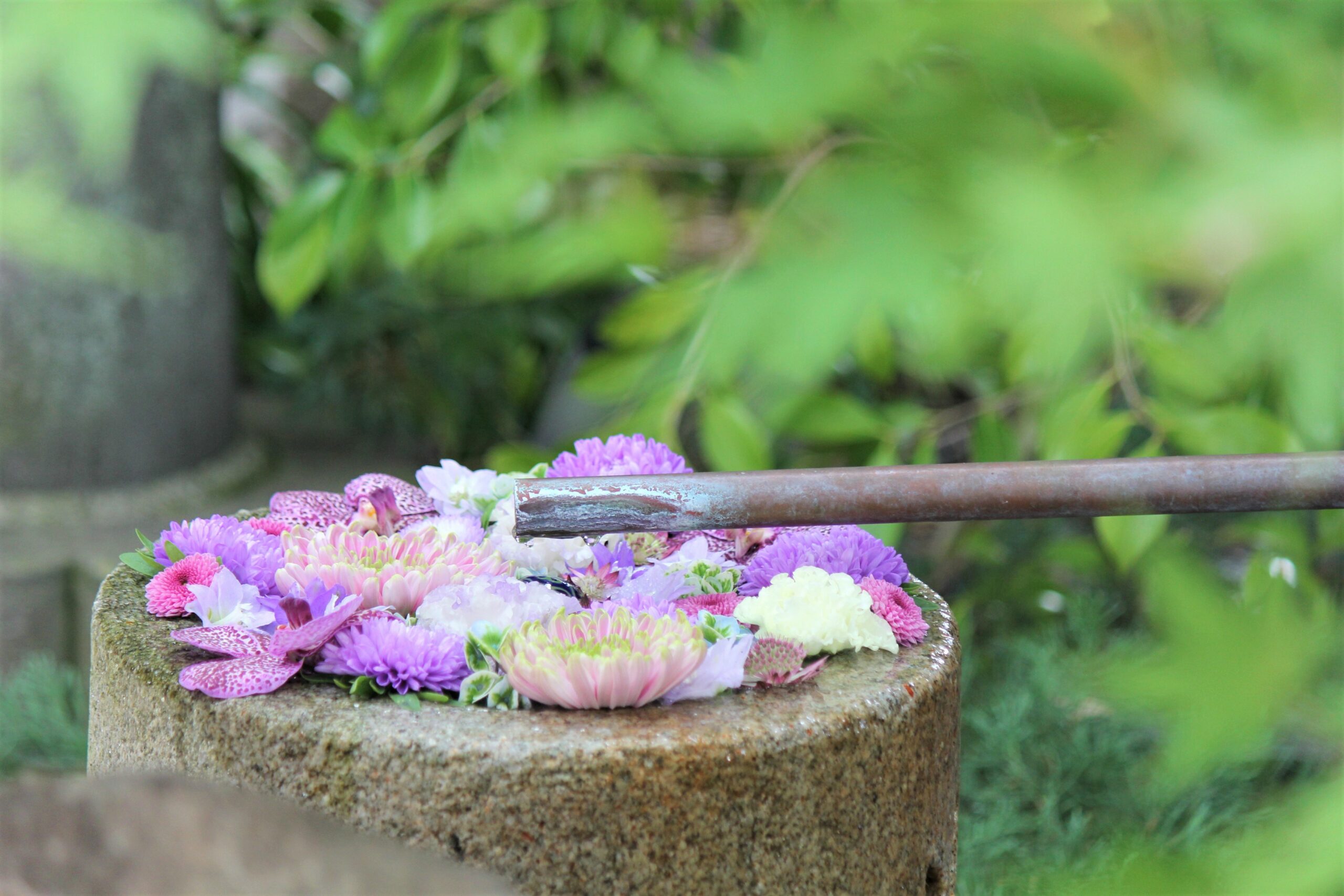 行田八幡神社、花手水