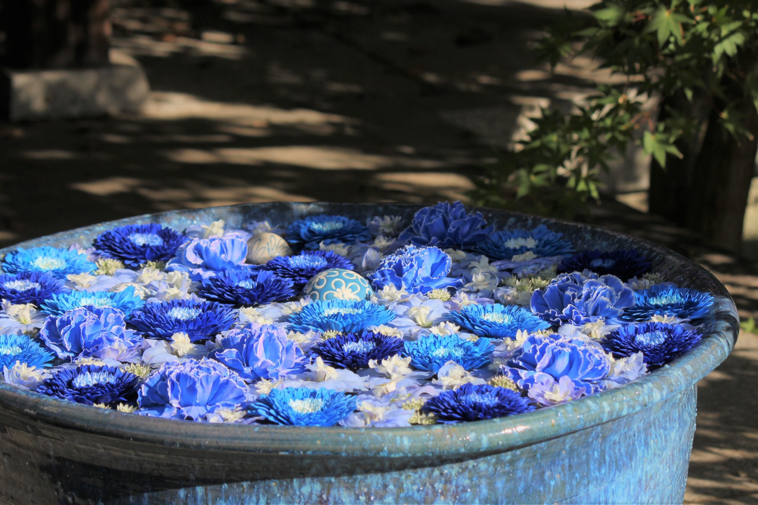 行田八幡神社、花手水