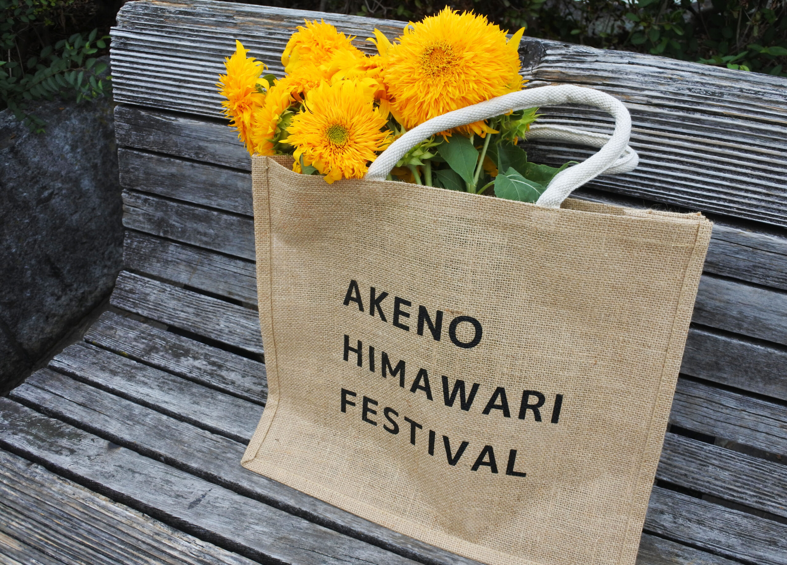 あけのひまわりフェスティバル