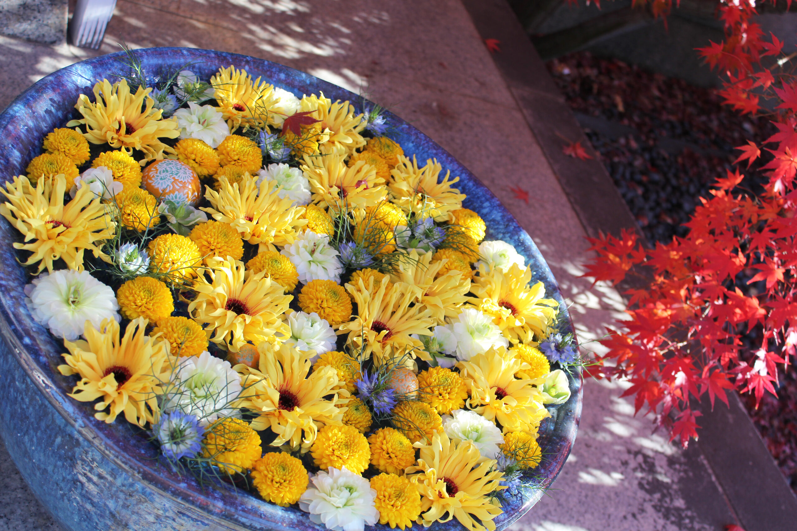 行田八幡神社、花手水