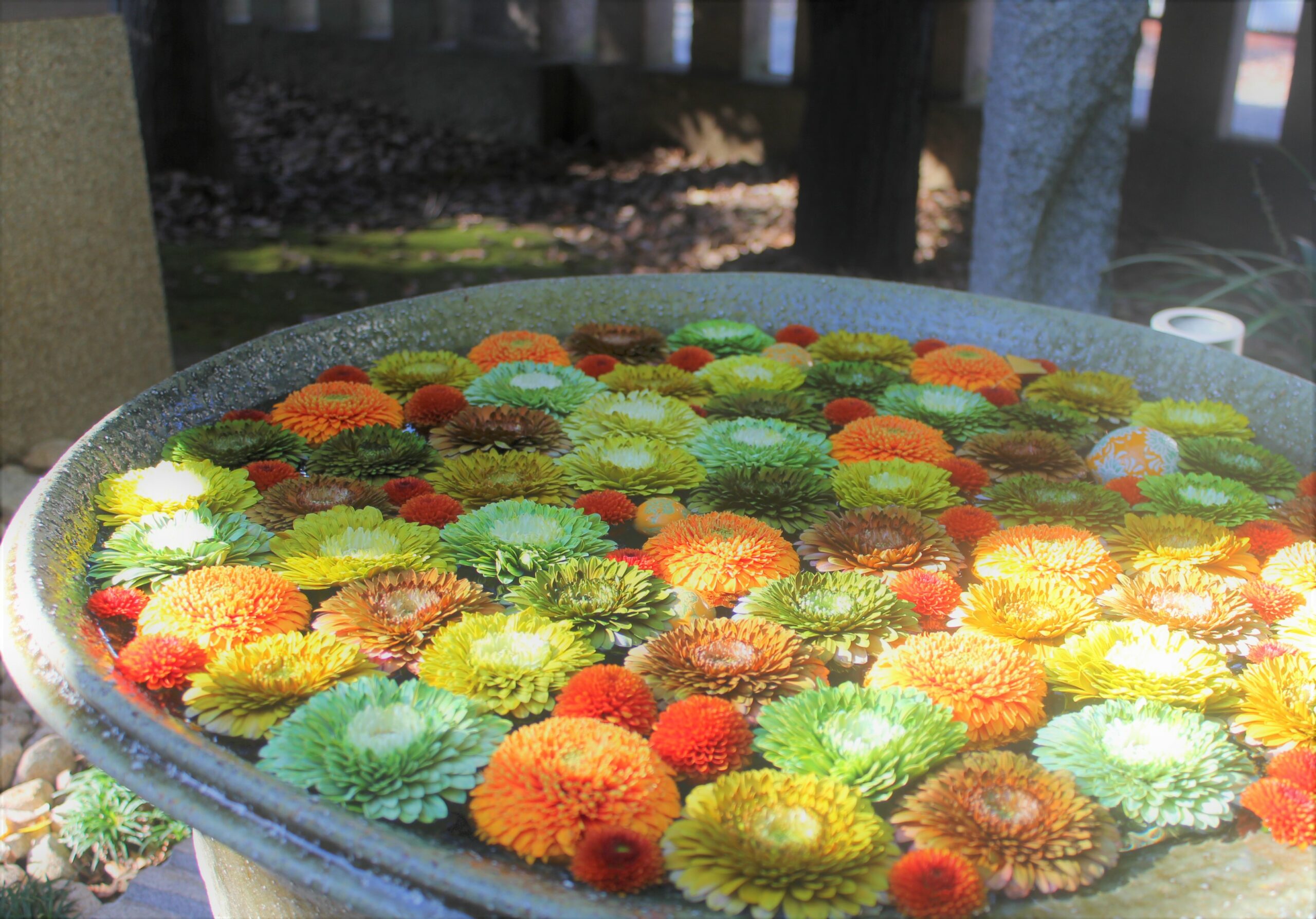 行田八幡神社、花手水