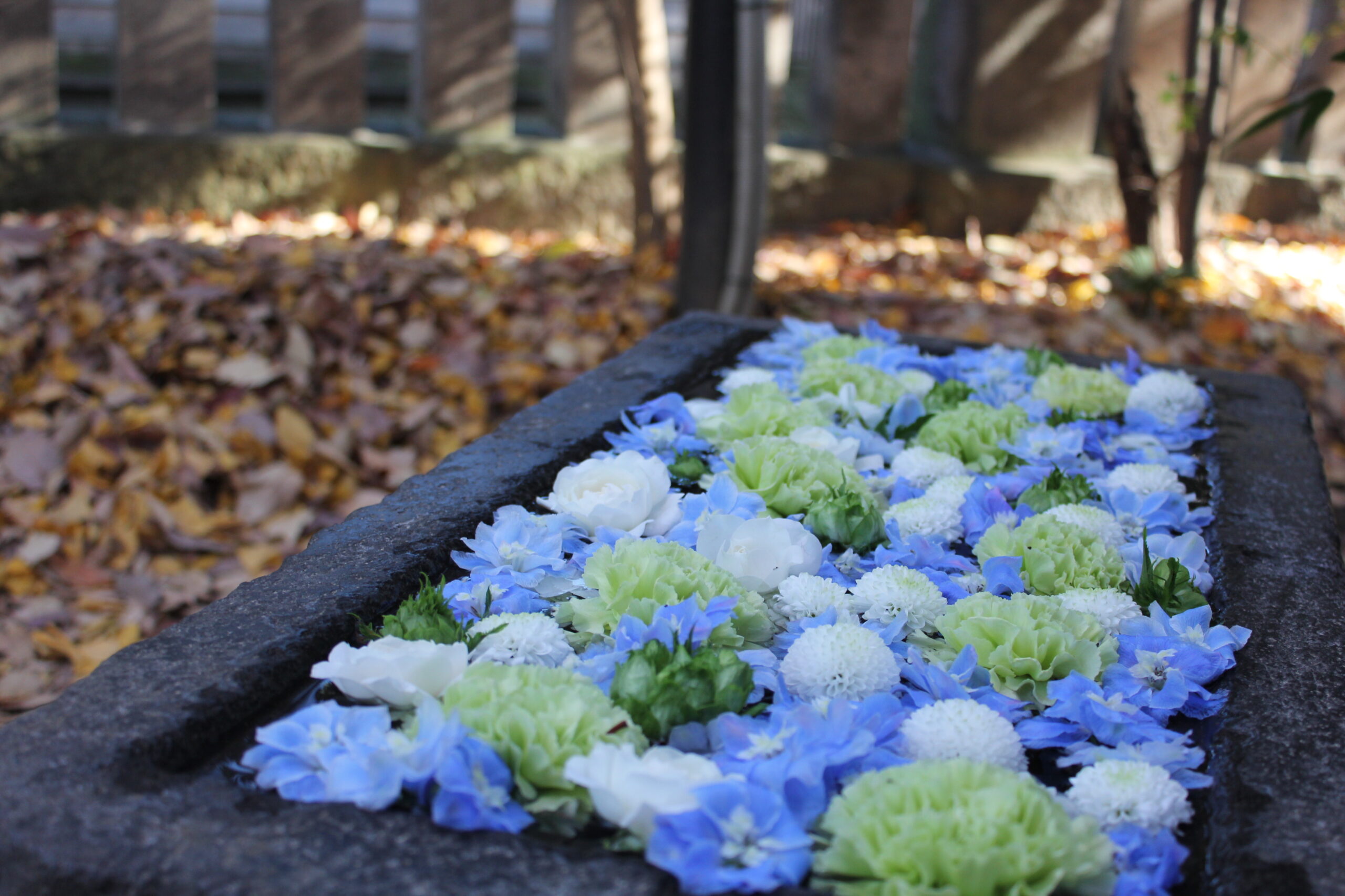 行田八幡神社、花手水