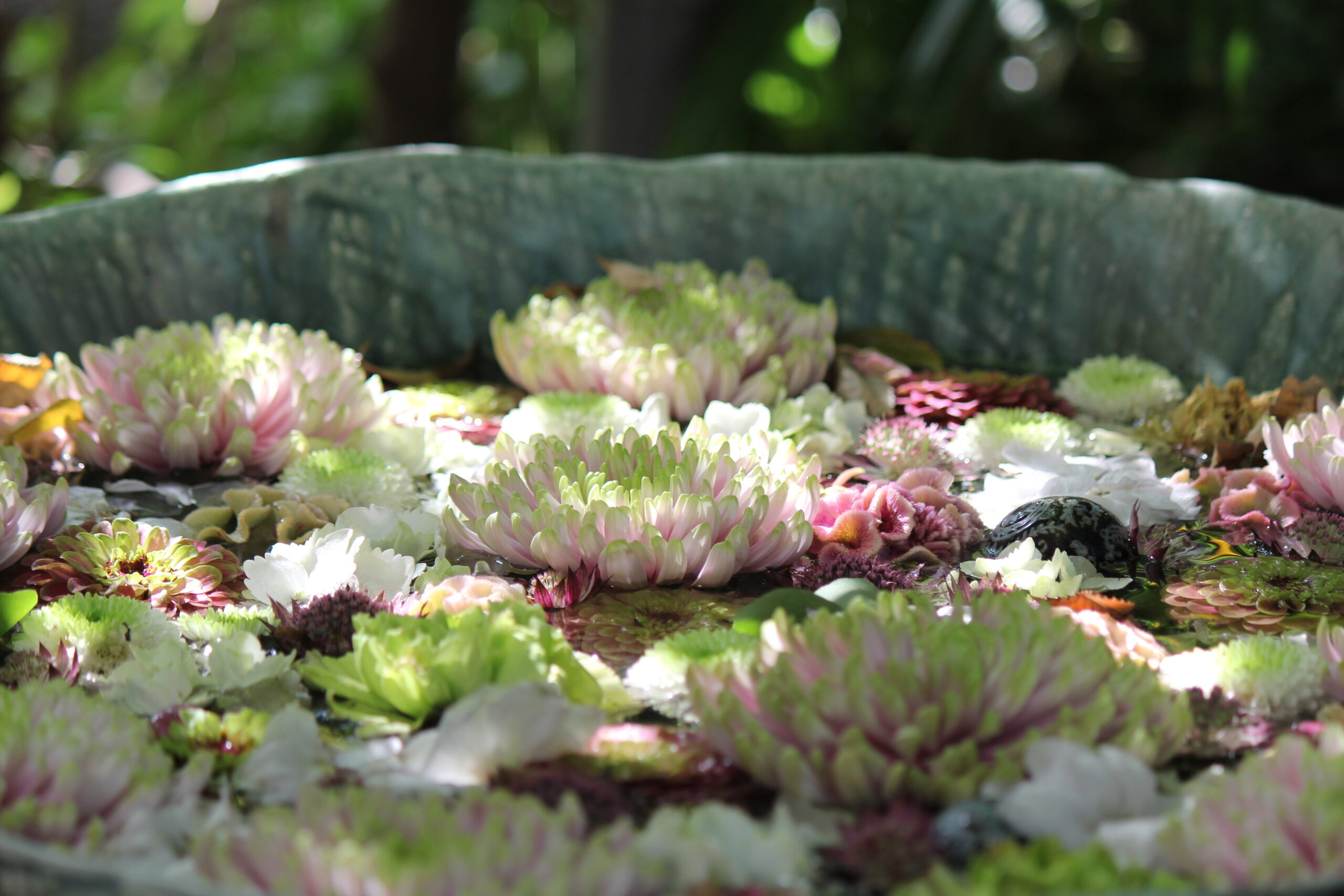 行田八幡神社、花手水