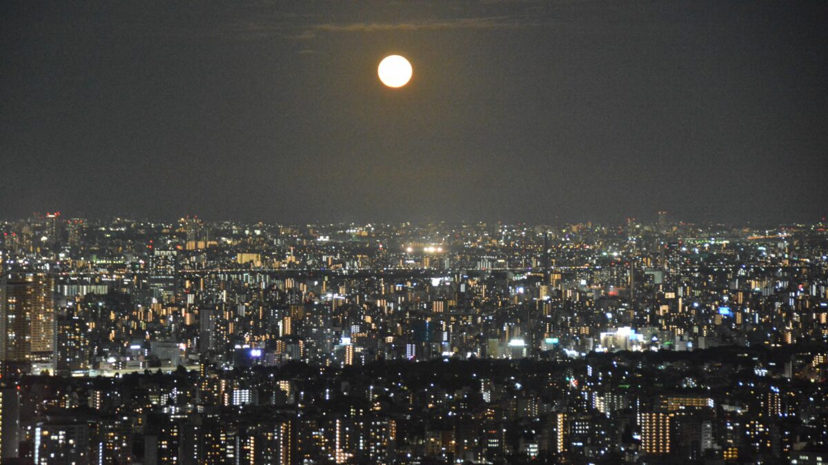 晴れたら空を眺めて！中秋の名月はどこで見る？東京周辺で開催されるお月見イベントまとめ