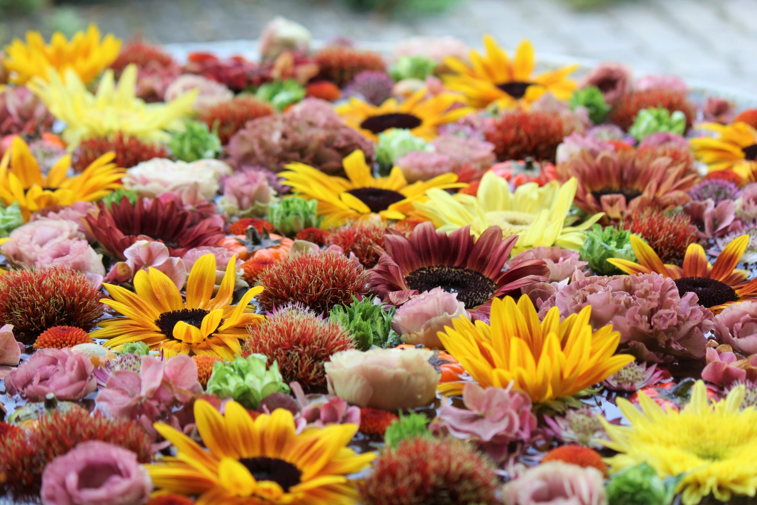 行田八幡神社、花手水
