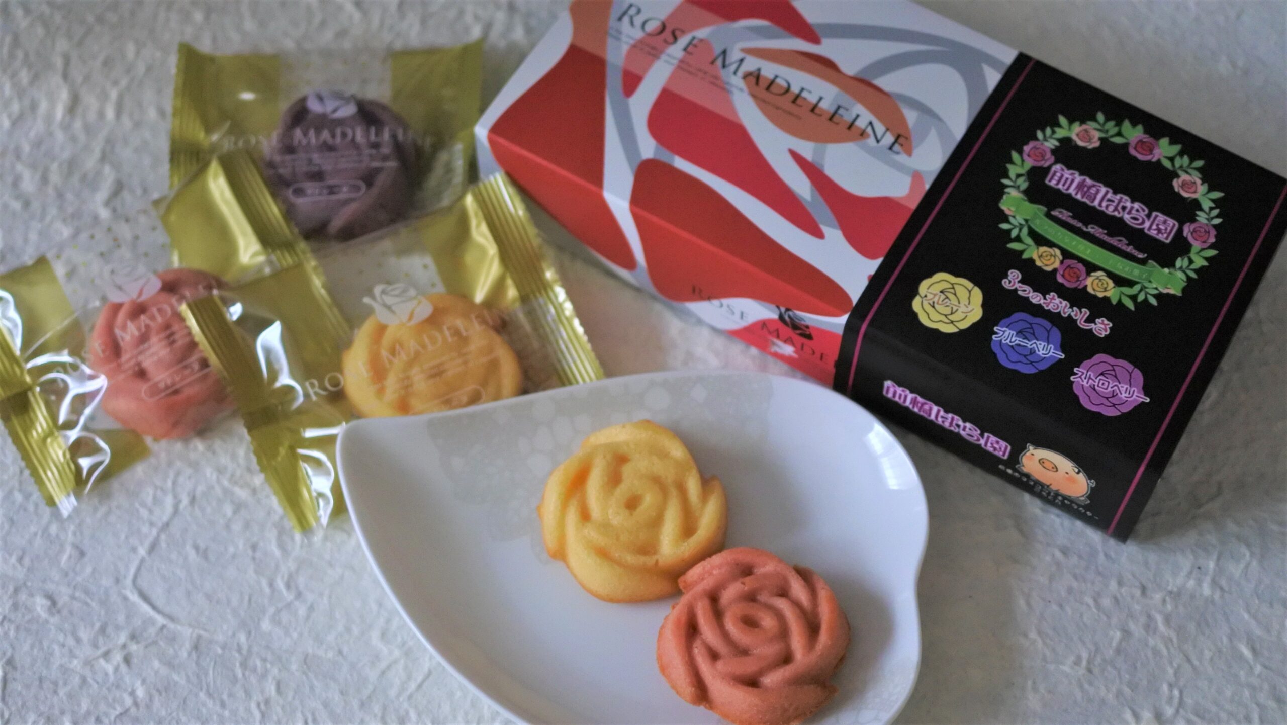 敷島公園門倉テクノばら園