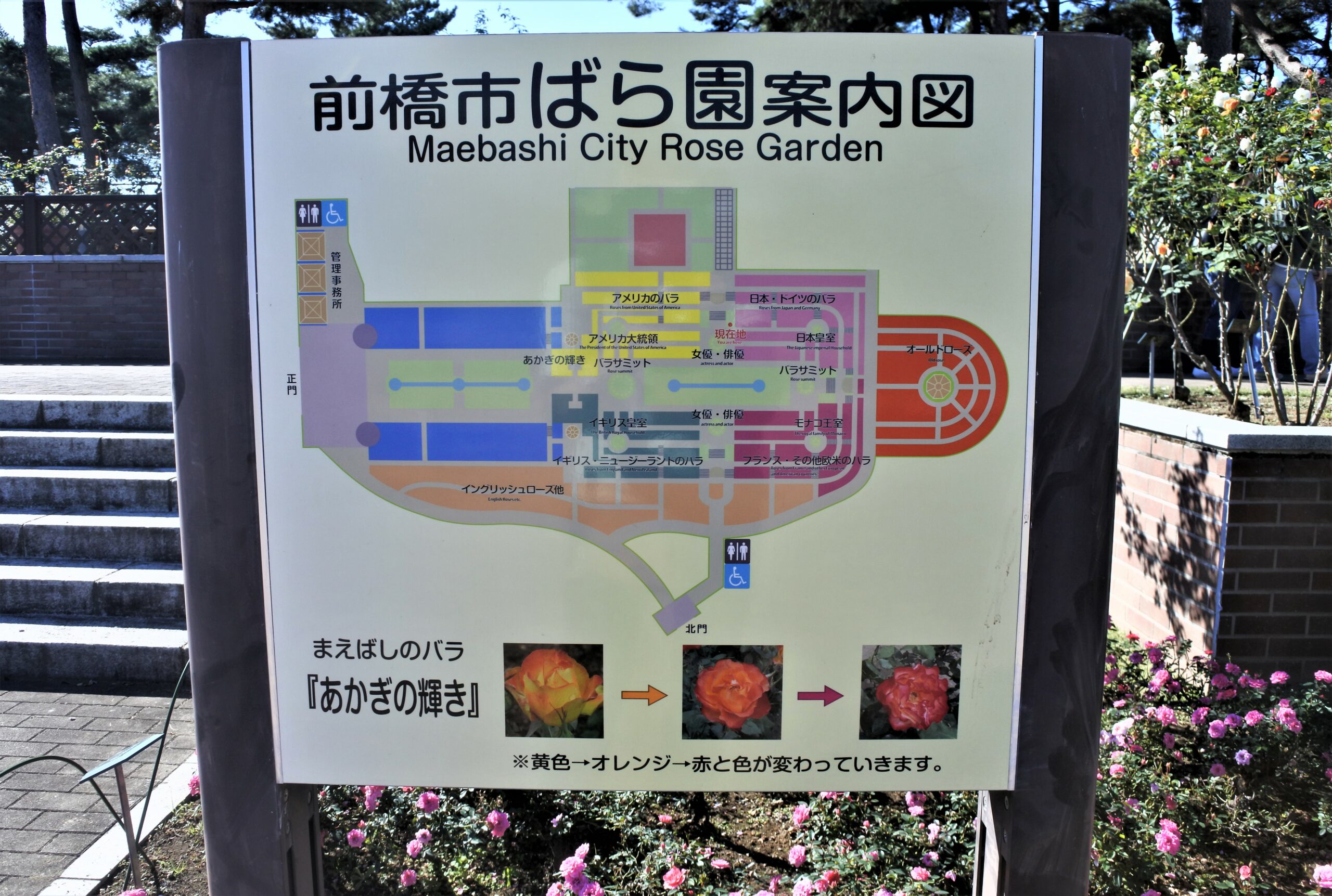 敷島公園門倉テクノばら園