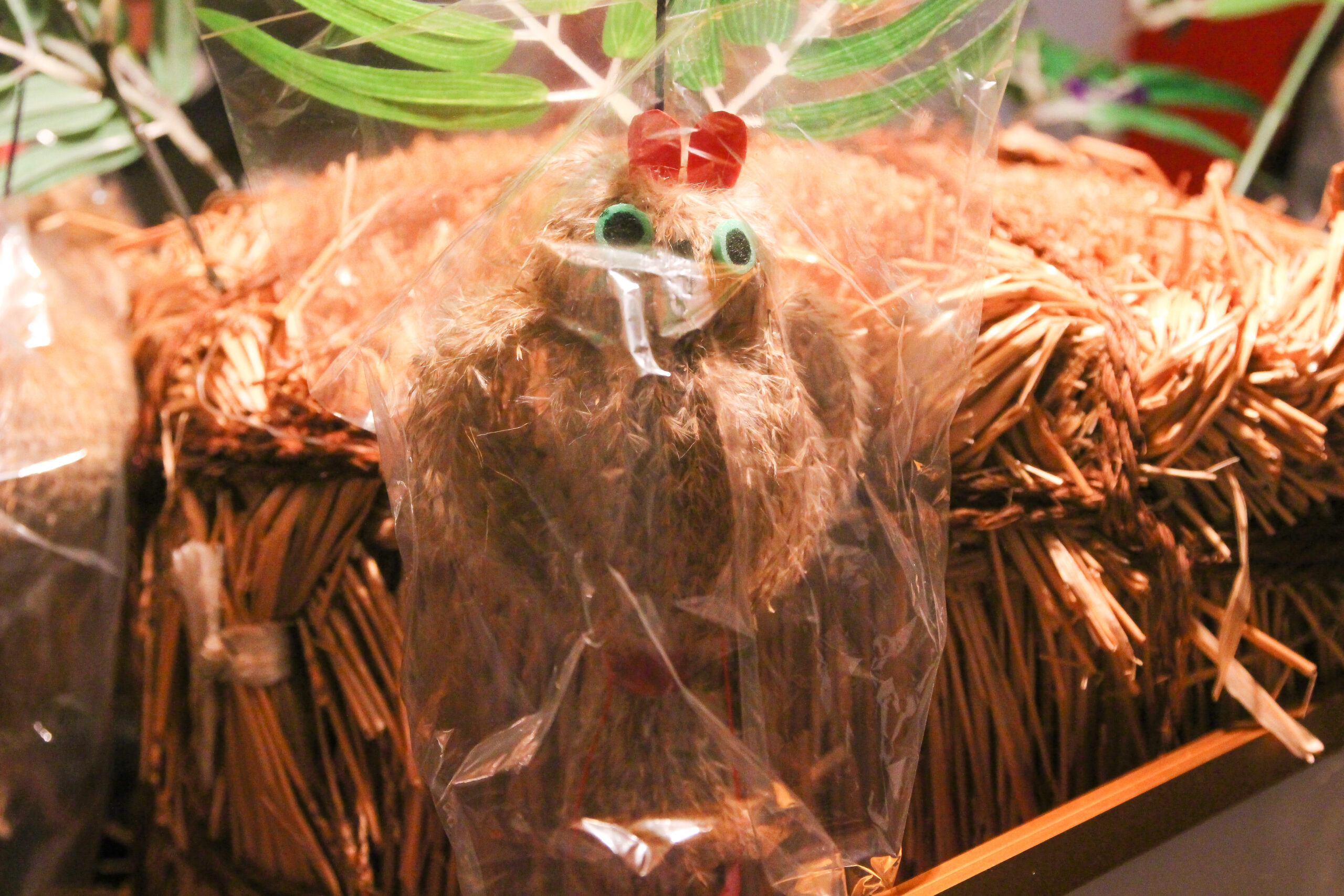 鬼子母神御会式