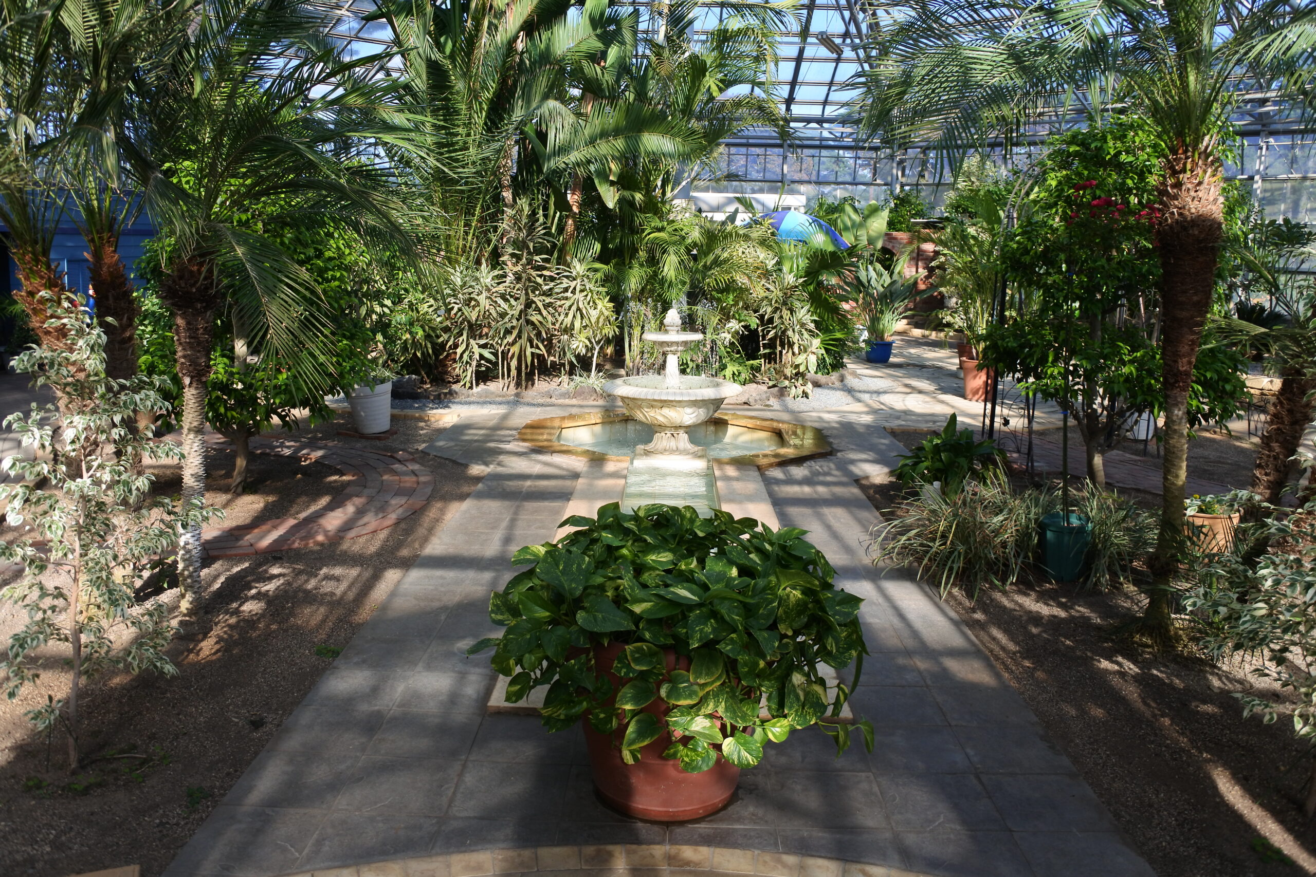 敷島公園門倉テクノばら園