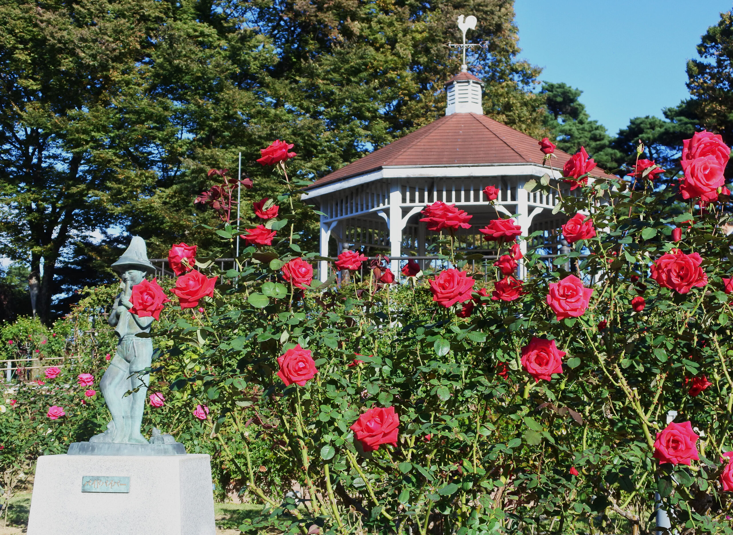 敷島公園門倉テクノばら園