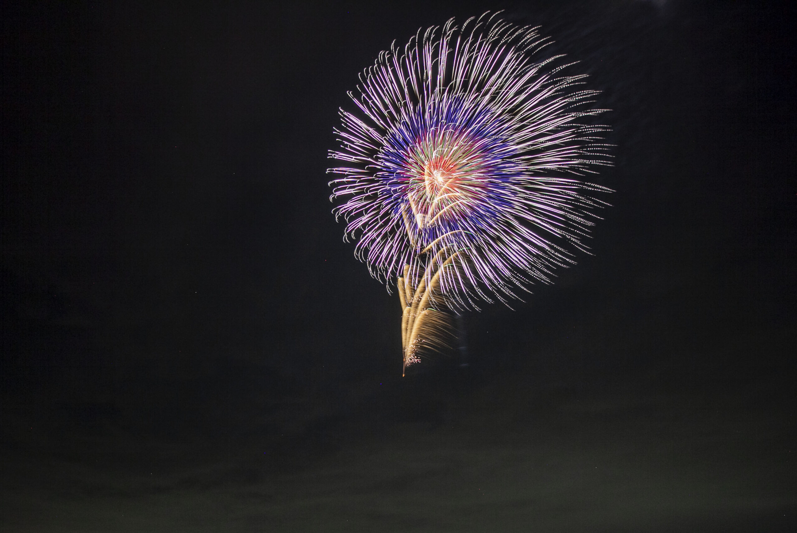 利根川大花火大会
